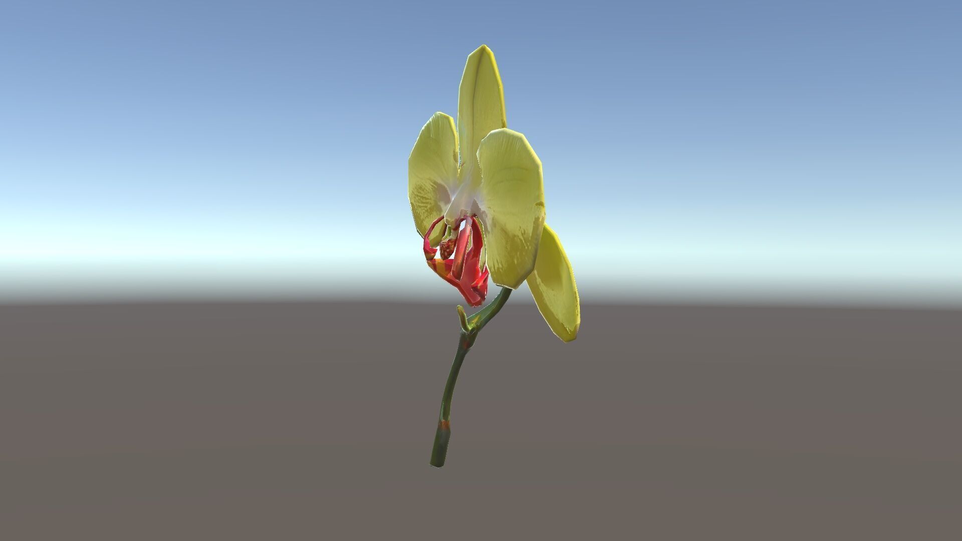 Orchid Flower Model Pack with Detailed Petals and Stem Low-poly 3D model_34