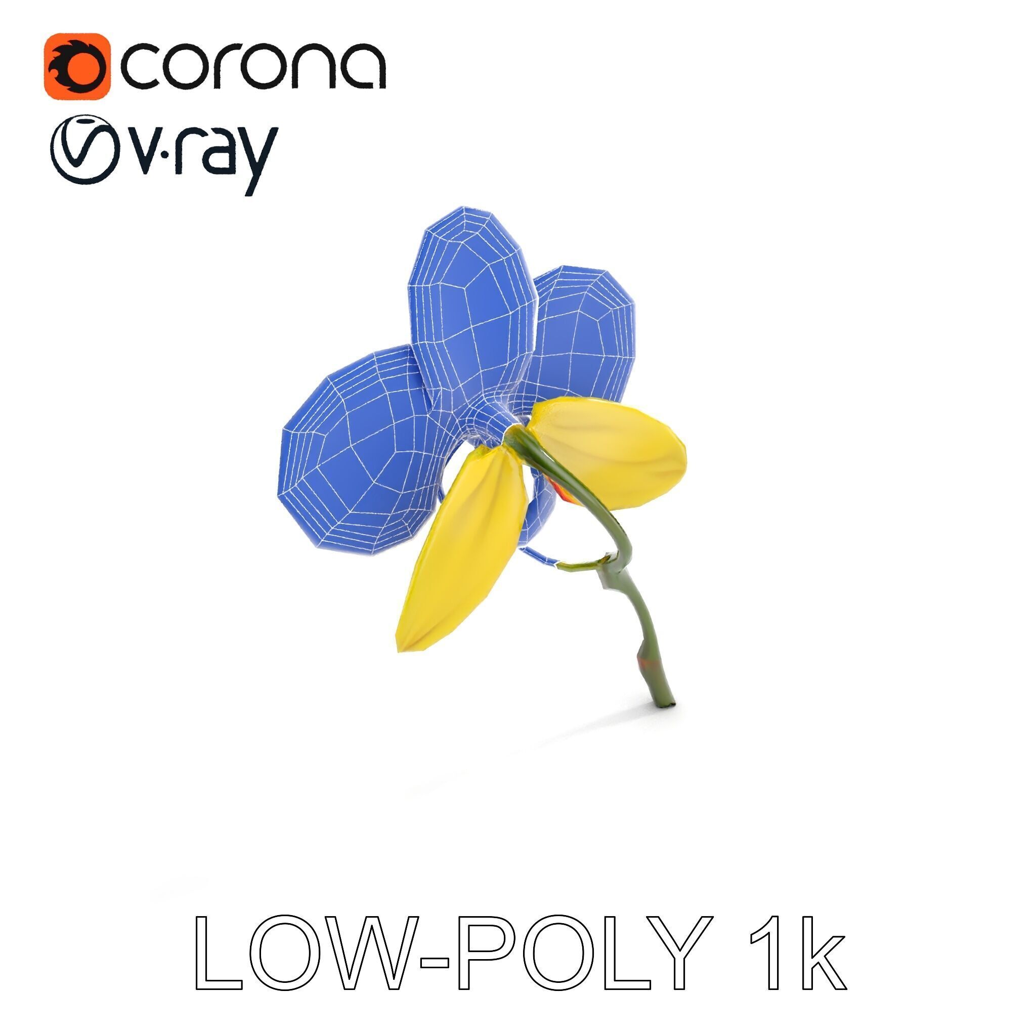 Orchid Flower Model Pack with Detailed Petals and Stem Low-poly 3D model_15