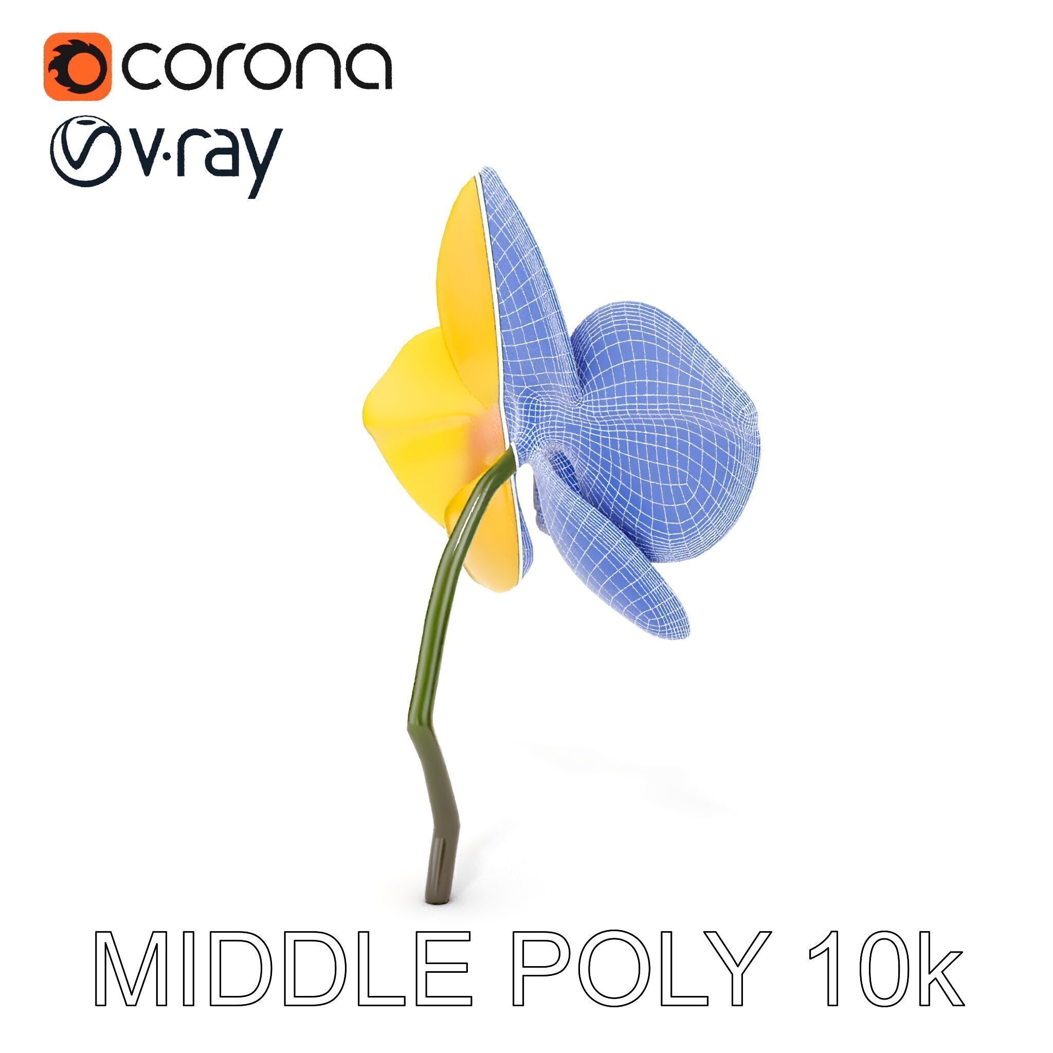Orchid Flower Model Pack with PBR Textures Low-poly 3D model_31