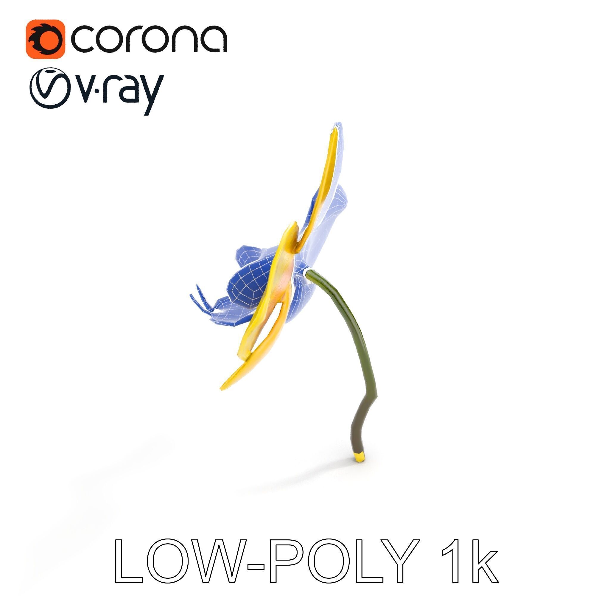 Orchid Flower Model Pack with PBR Textures Low-poly 3D model_16