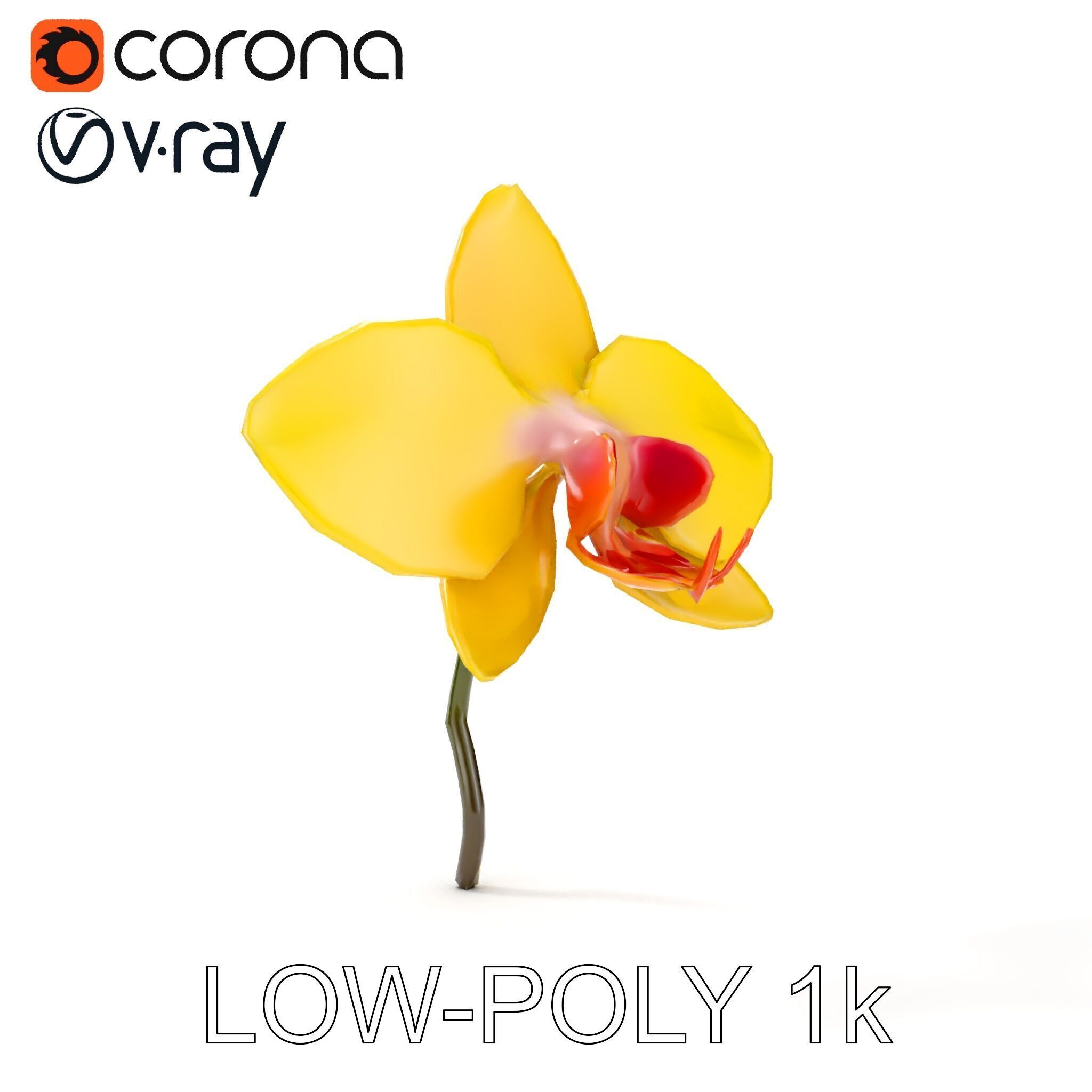 Orchid Flower Model Pack with PBR Textures Low-poly 3D model_10