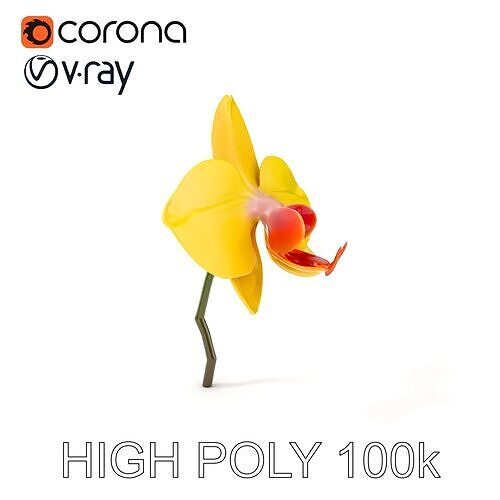 Orchid Flower Model Pack with PBR Textures Low-poly 3D model