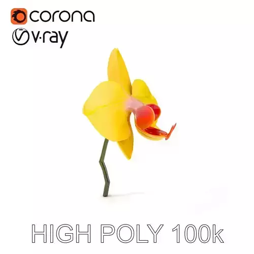 Orchid Flower Model Pack with PBR Textures Low-poly 3D model