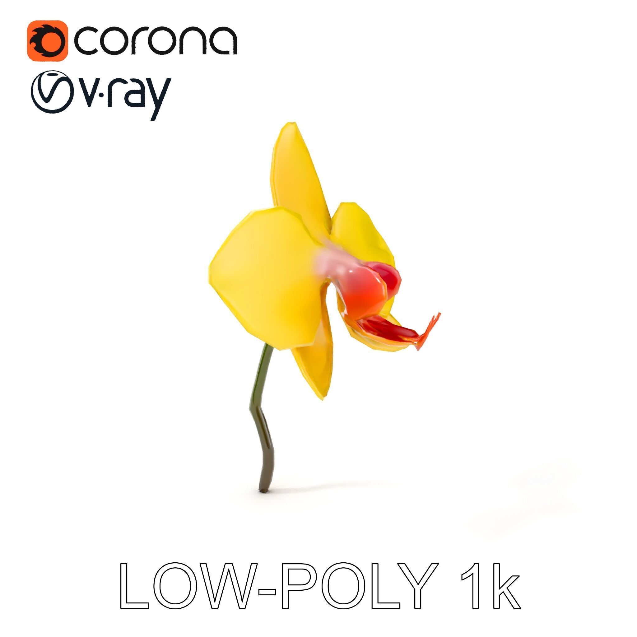 Orchid Flower Model Pack with PBR Textures Low-poly 3D model_8