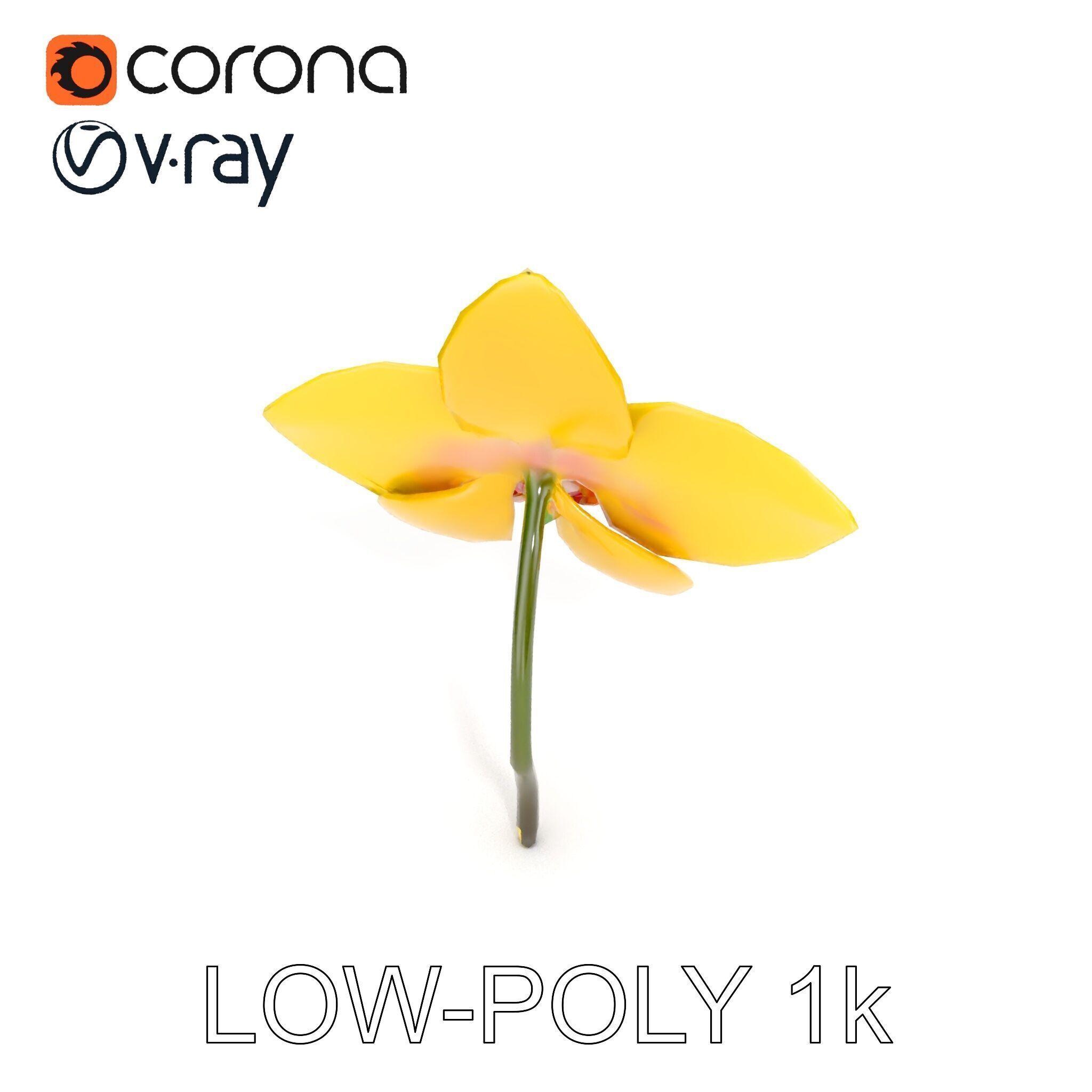 Orchid Flower Model Pack with PBR Textures Low-poly 3D model_26