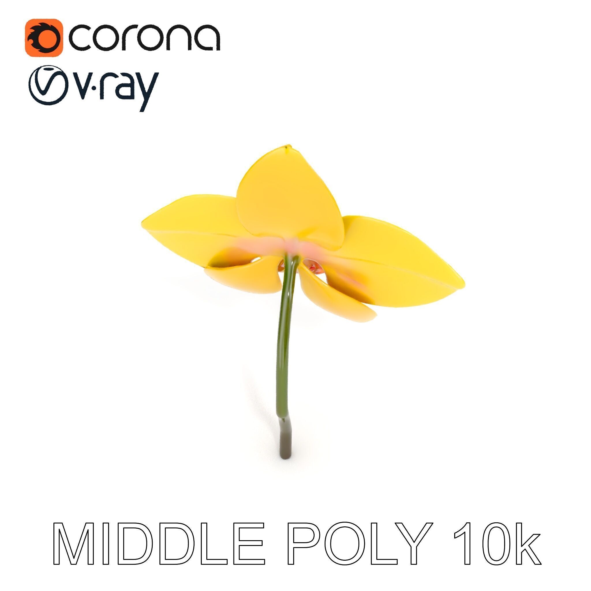 Orchid Flower Model Pack with PBR Textures Low-poly 3D model_12