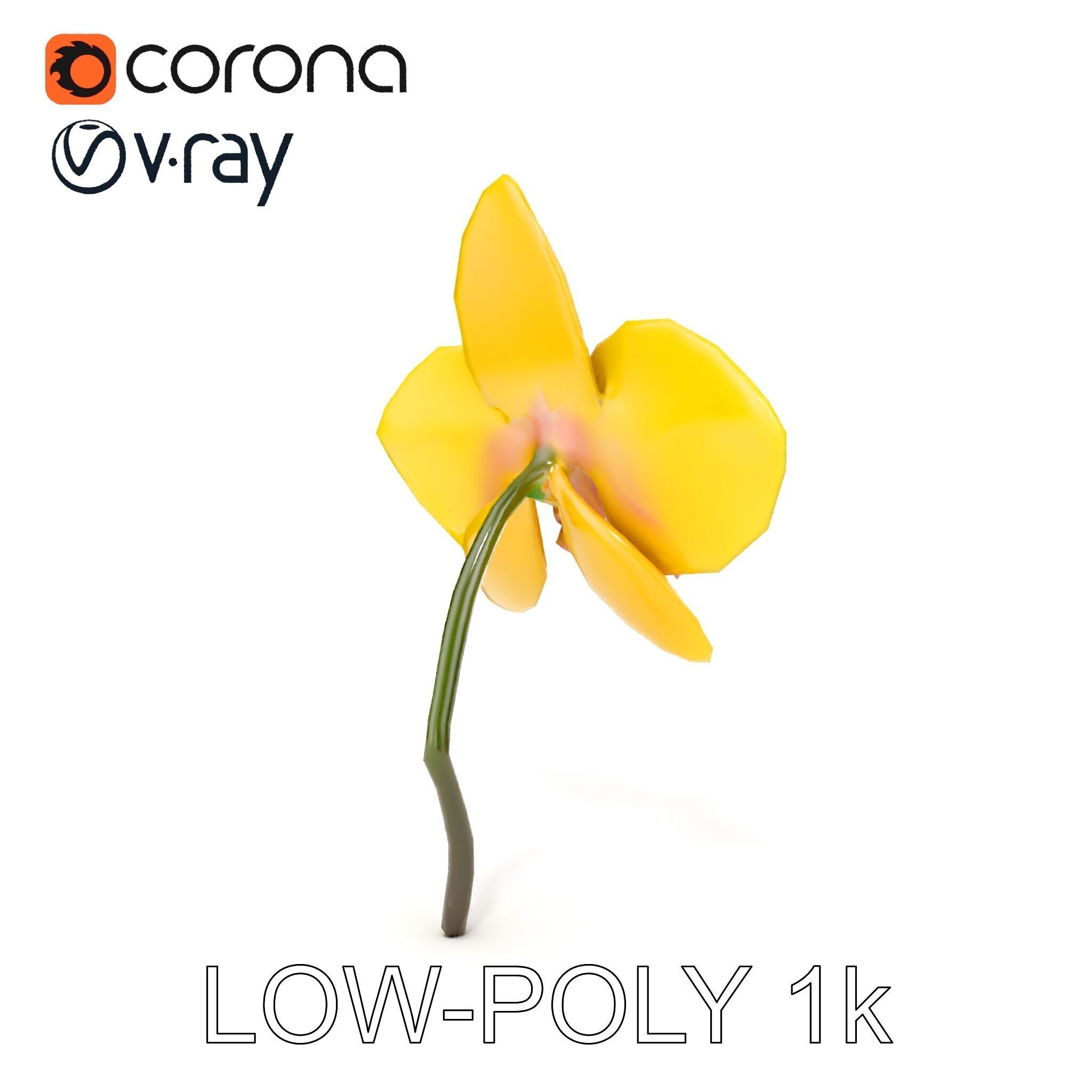 Orchid Flower Model Pack with PBR Textures Low-poly 3D model_13