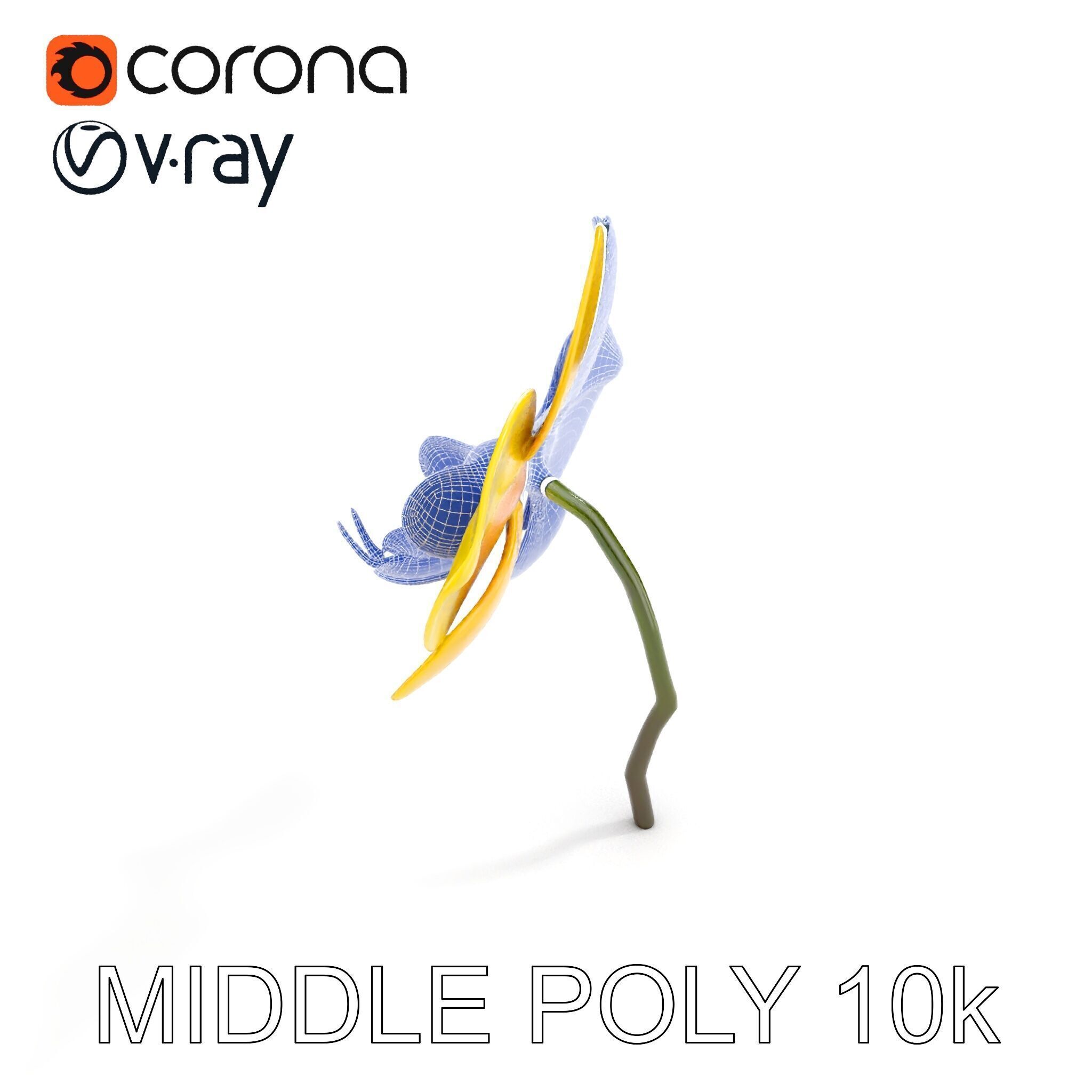 Orchid Flower Model Pack with PBR Textures Low-poly 3D model_28