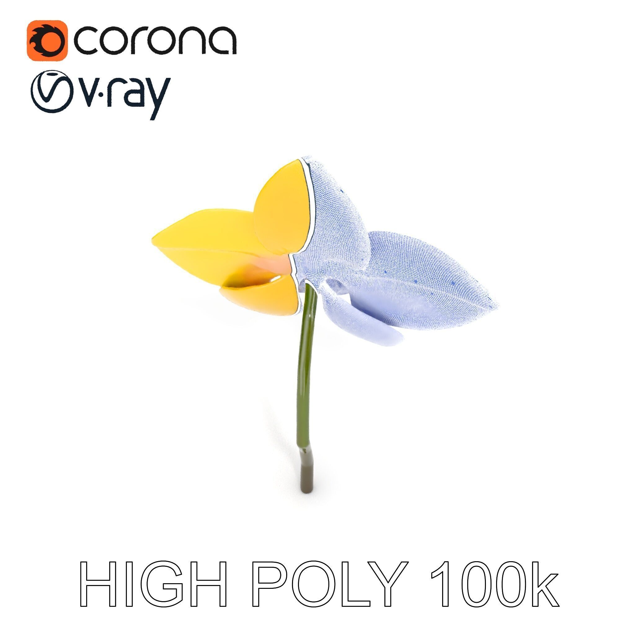 Orchid Flower Model Pack with PBR Textures Low-poly 3D model_30