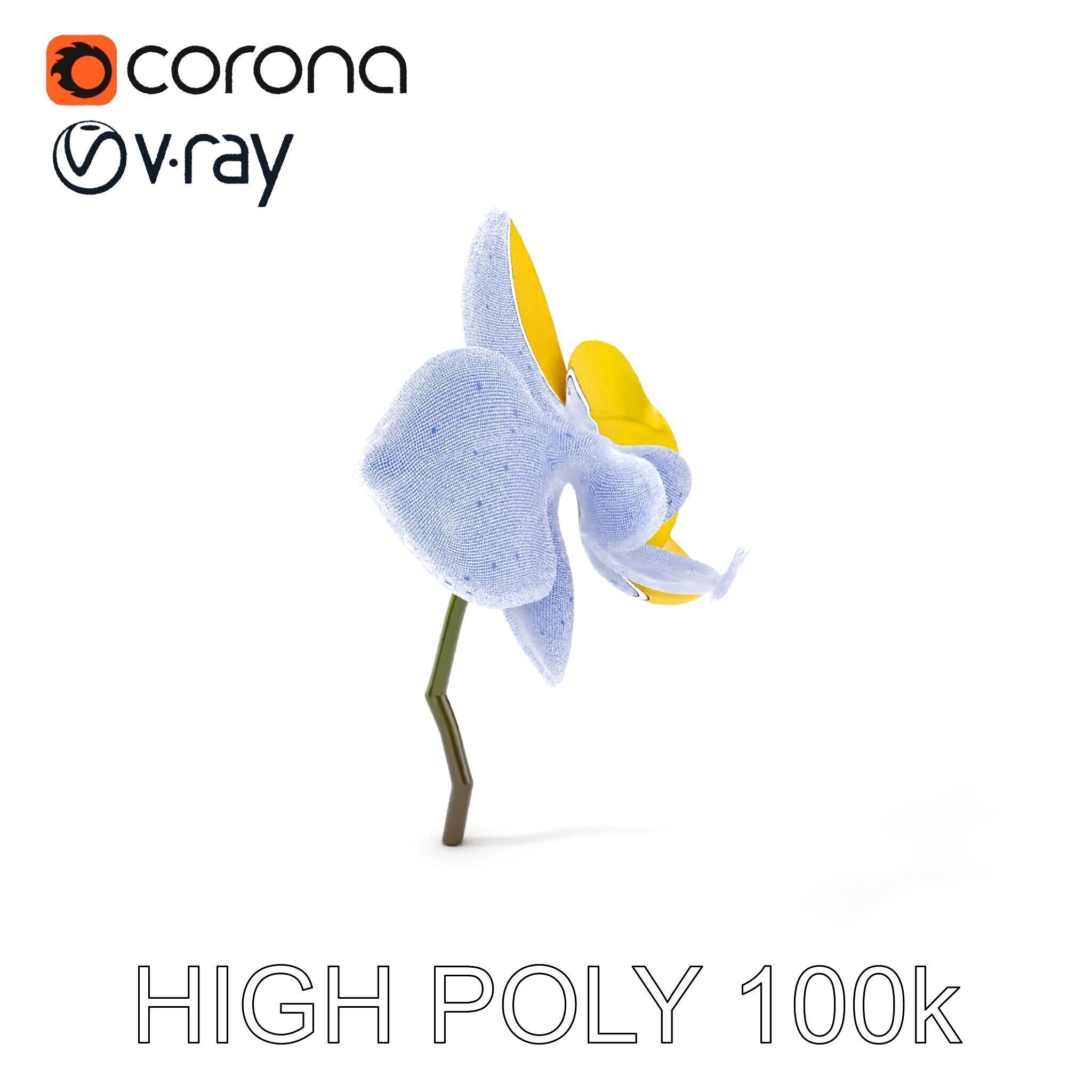 Orchid Flower Model Pack with PBR Textures Low-poly 3D model_5