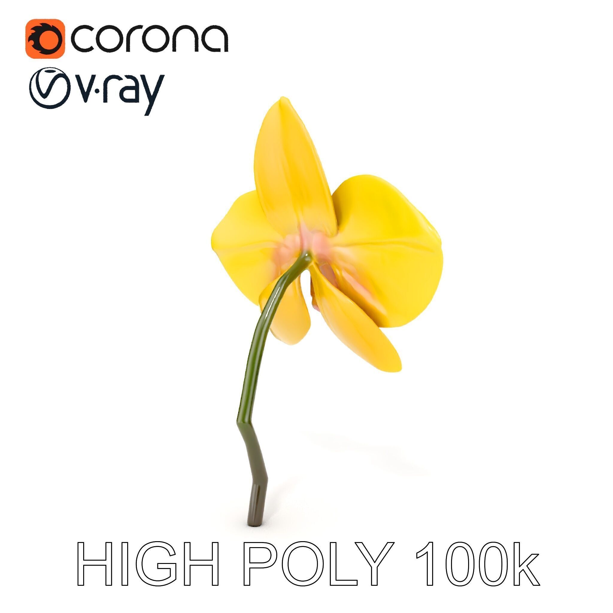 Orchid Flower Model Pack with PBR Textures Low-poly 3D model_22