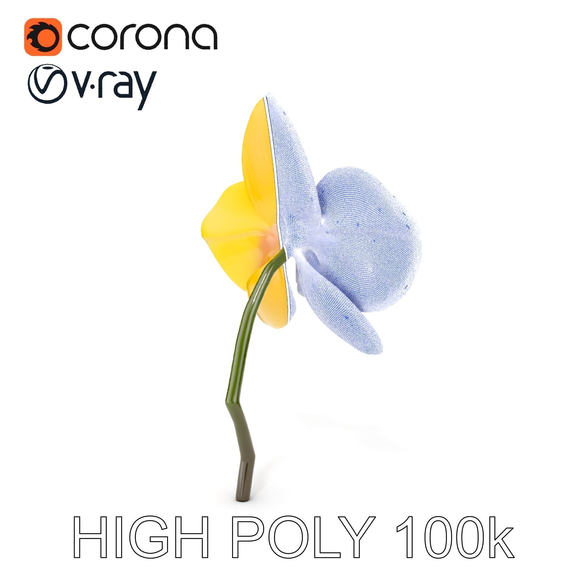 Orchid Flower Model Pack with PBR Textures Low-poly 3D model_33