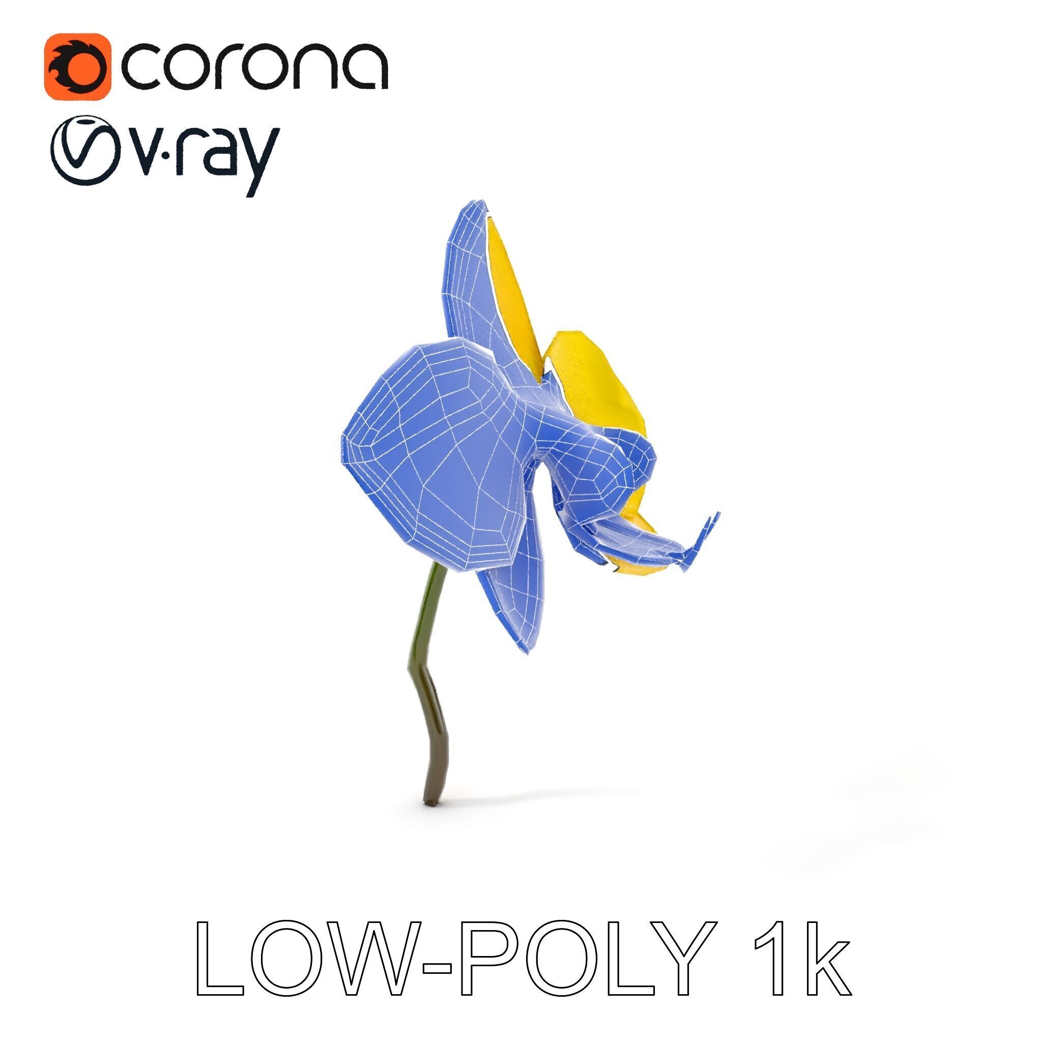 Orchid Flower Model Pack with PBR Textures Low-poly 3D model_24