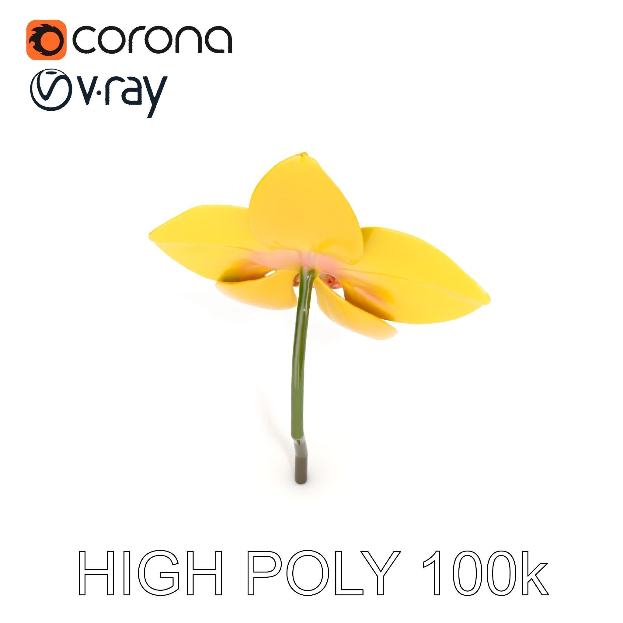 Orchid Flower Model Pack with PBR Textures Low-poly 3D model_19