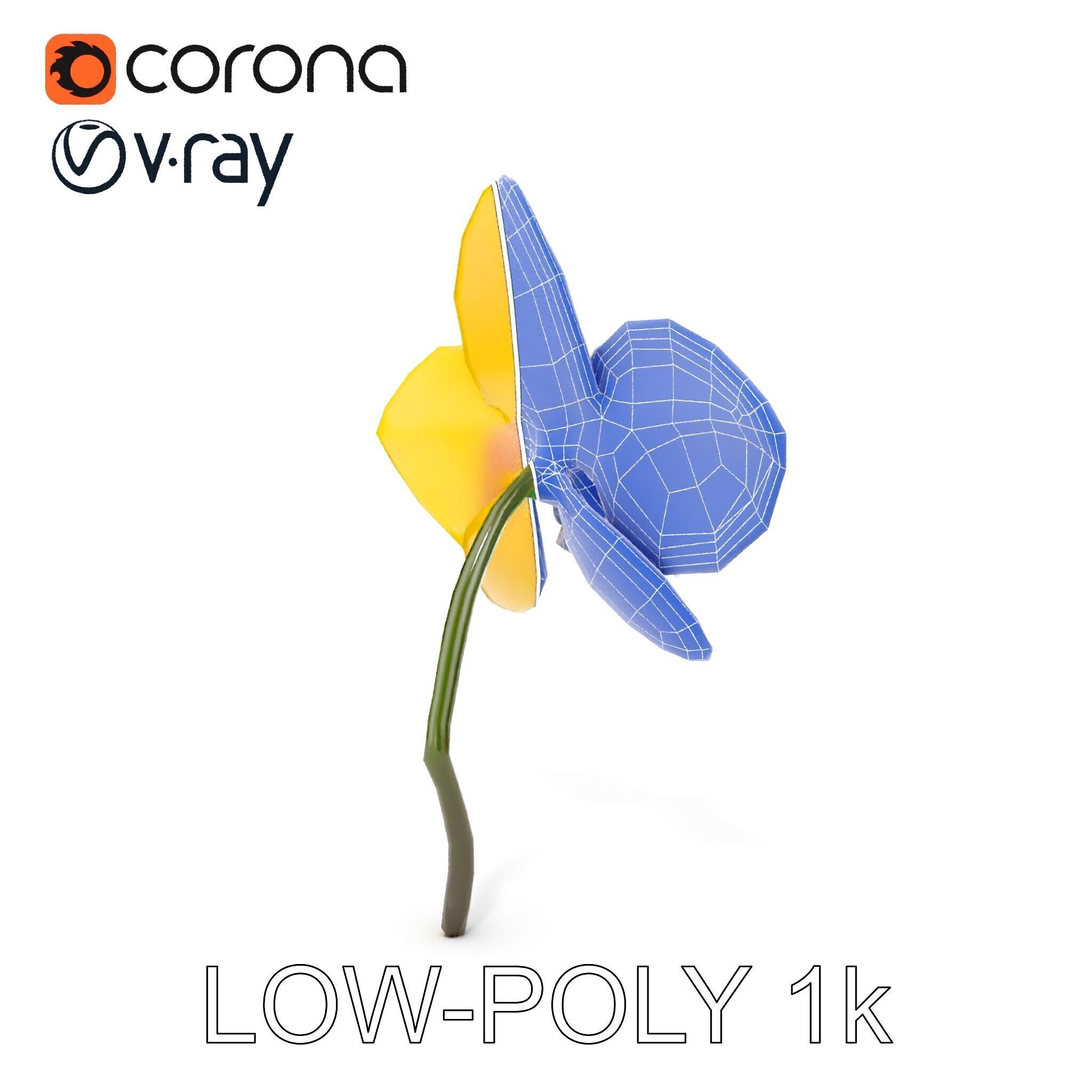 Orchid Flower Model Pack with PBR Textures Low-poly 3D model_29