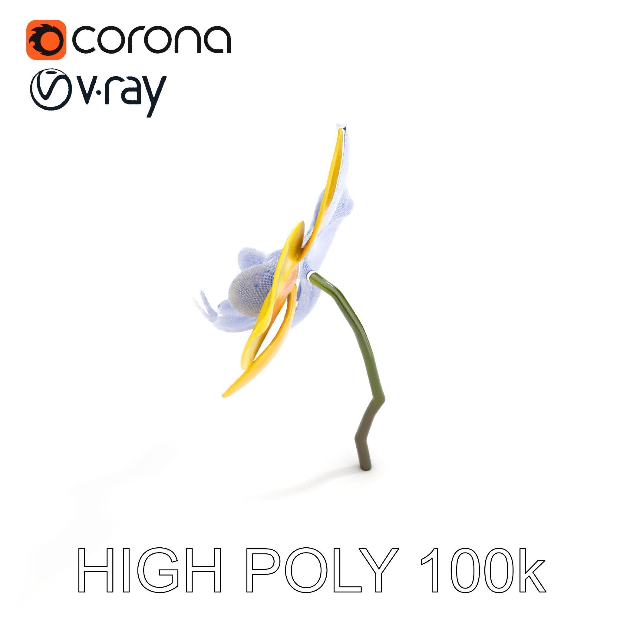 Orchid Flower Model Pack with PBR Textures Low-poly 3D model_27