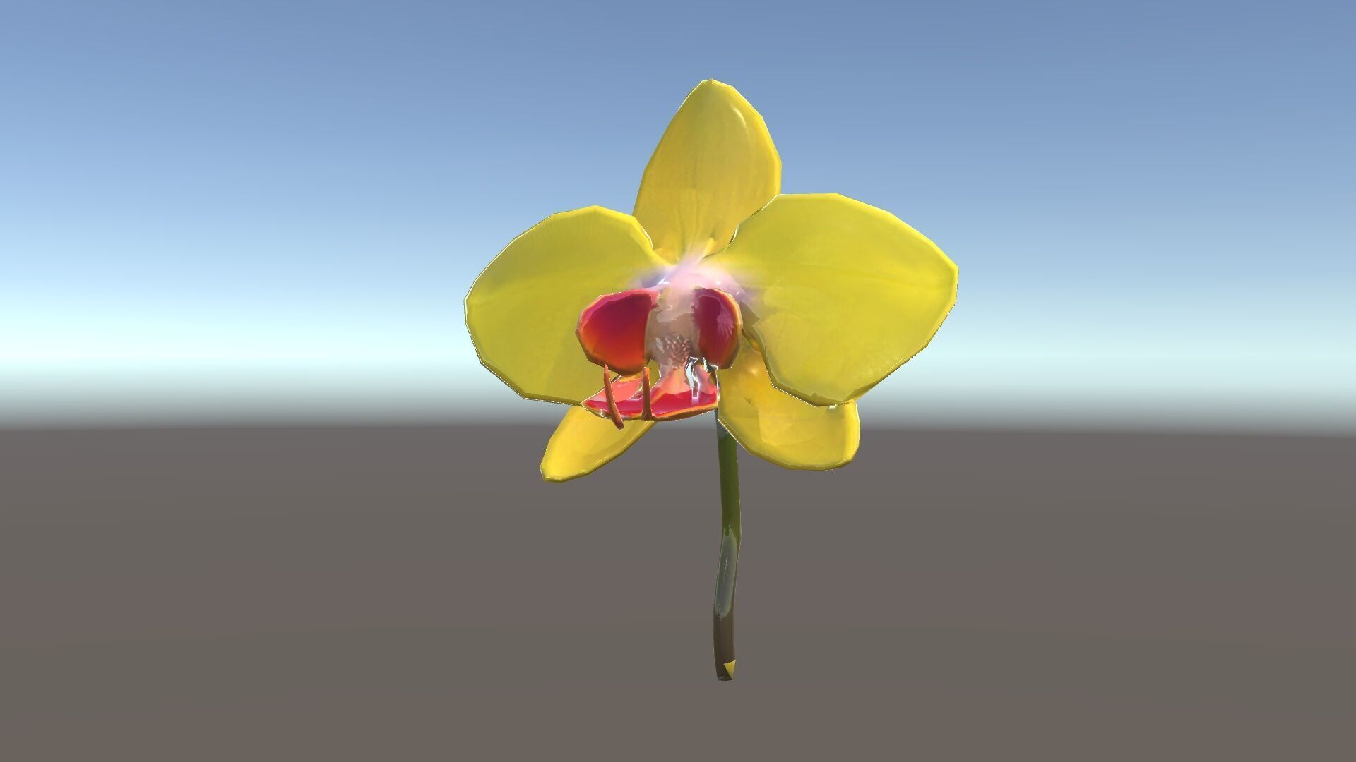 Orchid Flower Model Pack with PBR Textures Low-poly 3D model_35