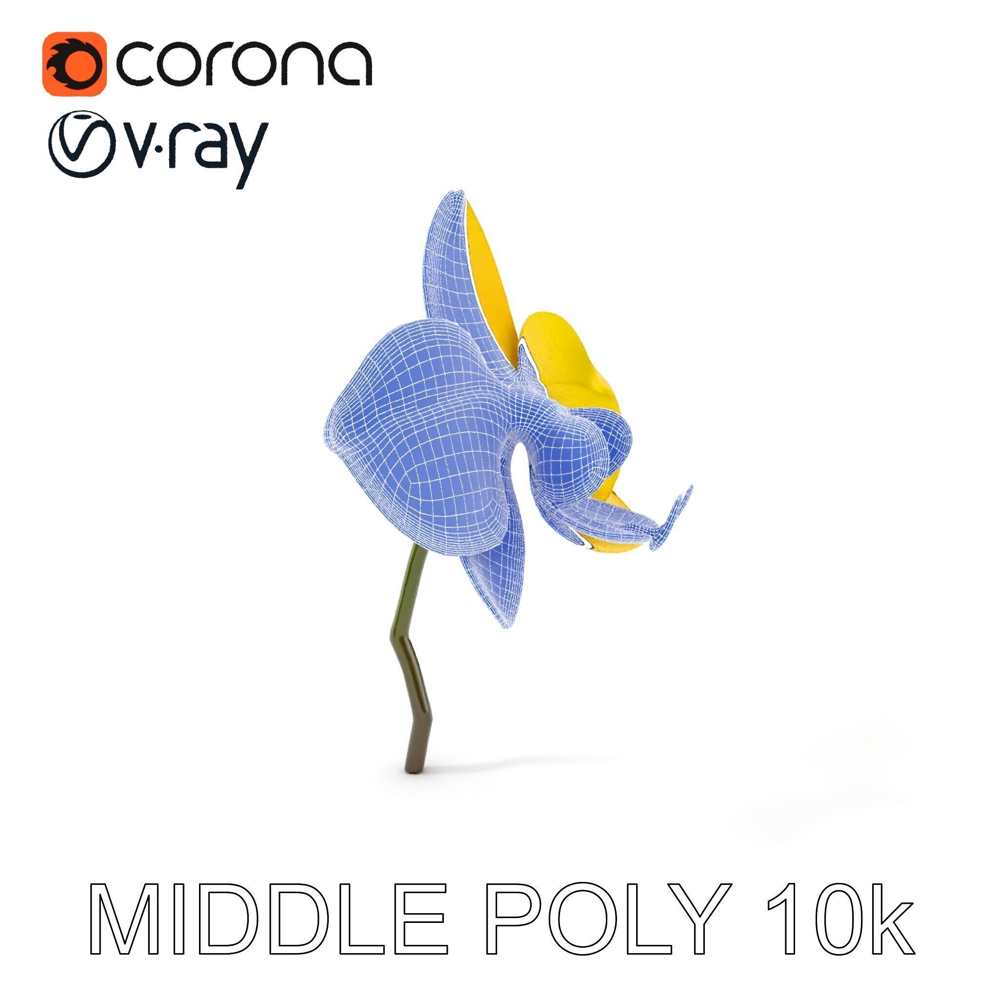 Orchid Flower Model Pack with PBR Textures Low-poly 3D model_15