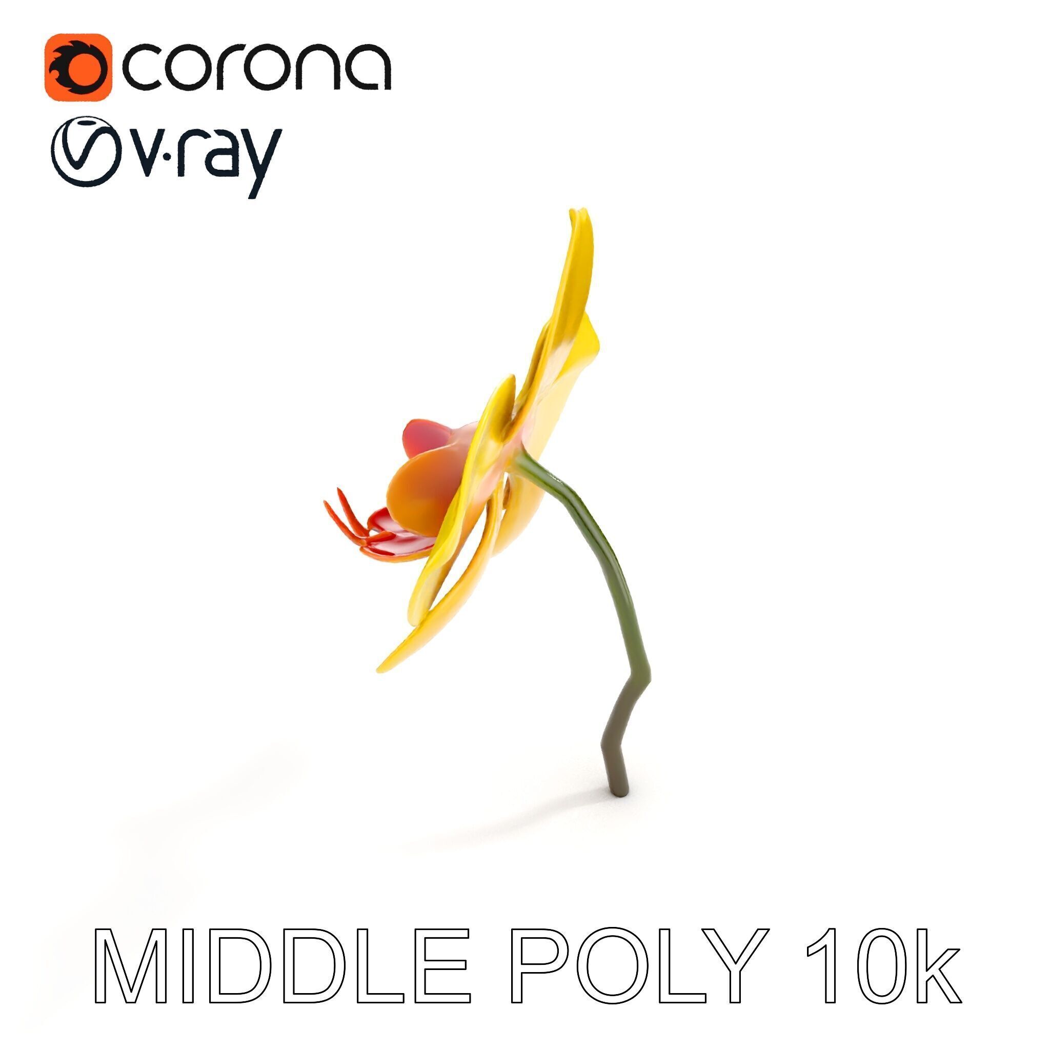 Orchid Flower Model Pack with PBR Textures Low-poly 3D model_17