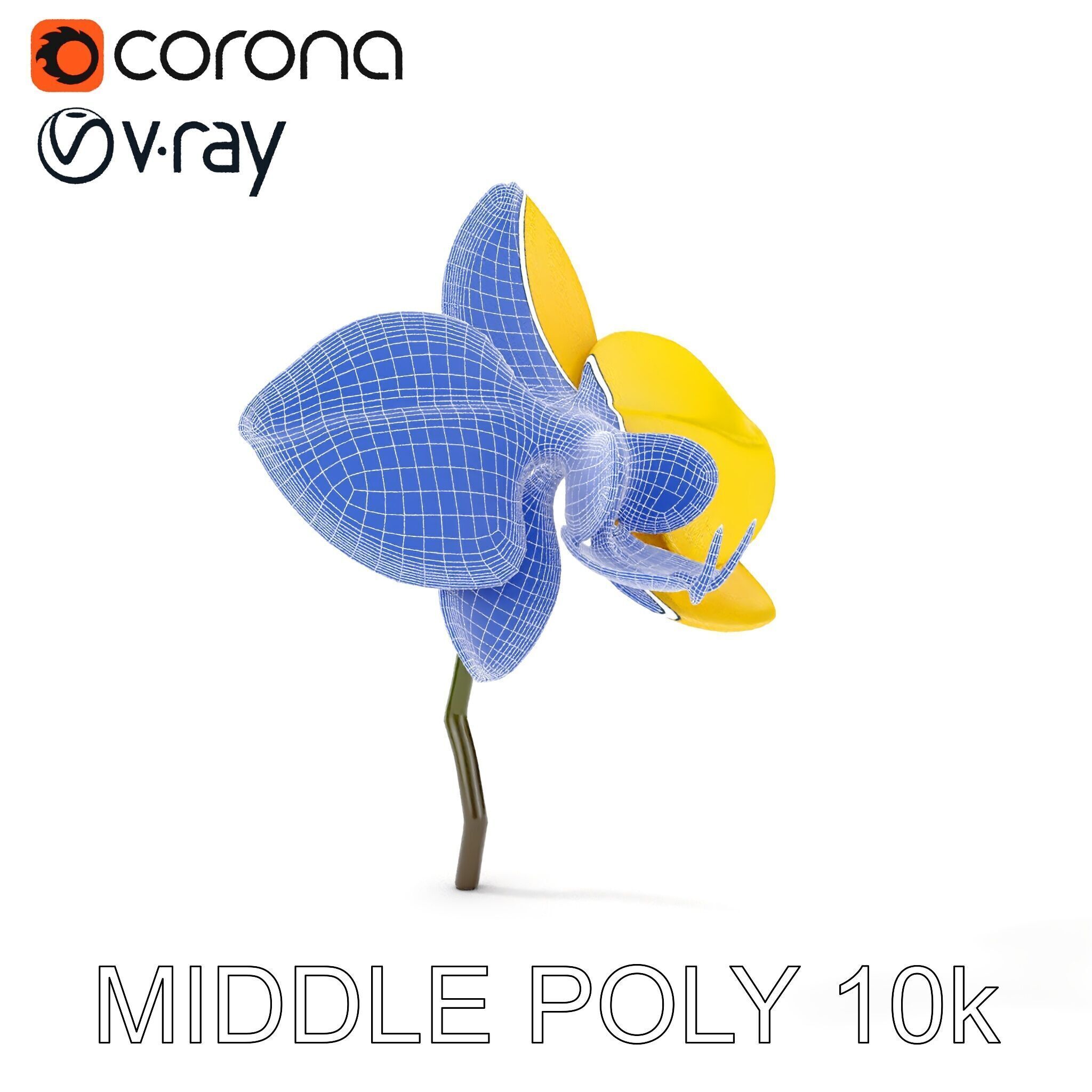Orchid Flower Model Pack with PBR Textures Low-poly 3D model_23