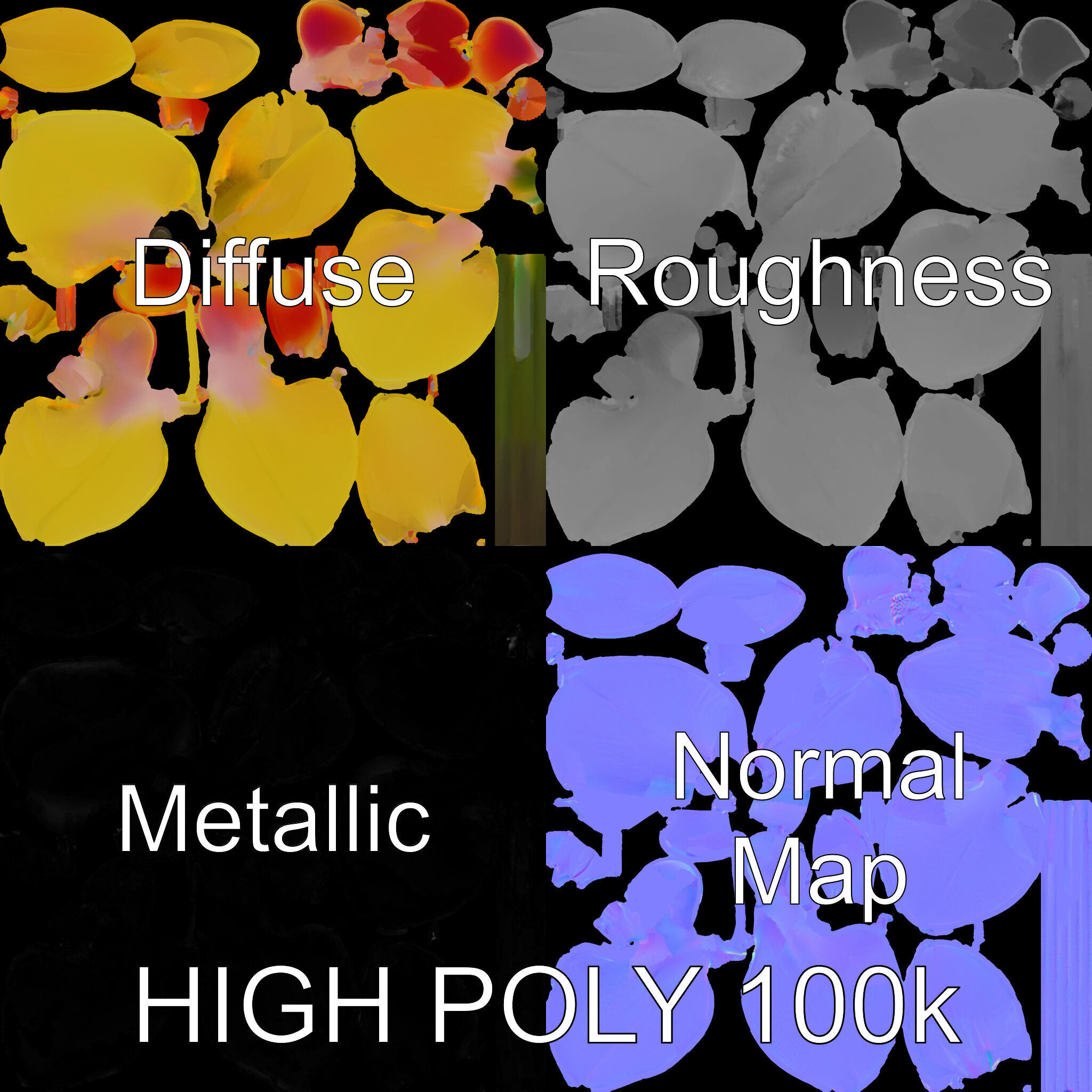 Orchid Flower Model Pack with PBR Textures Low-poly 3D model_4