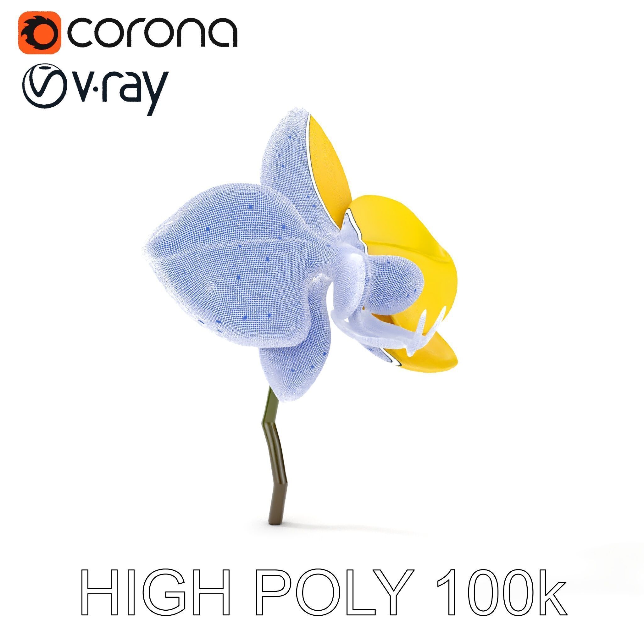 Orchid Flower Model Pack with PBR Textures Low-poly 3D model_36