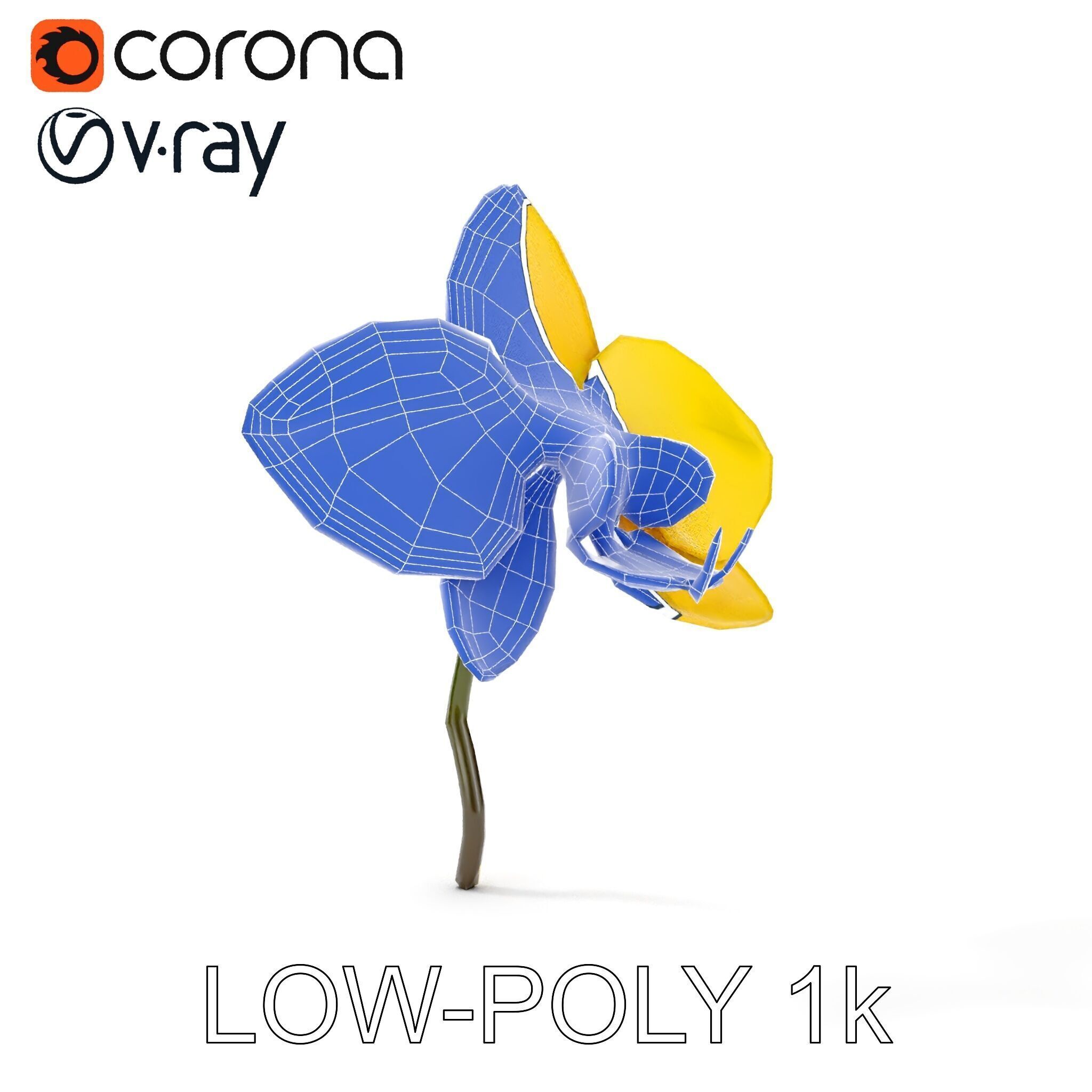 Orchid Flower Model Pack with PBR Textures Low-poly 3D model_32