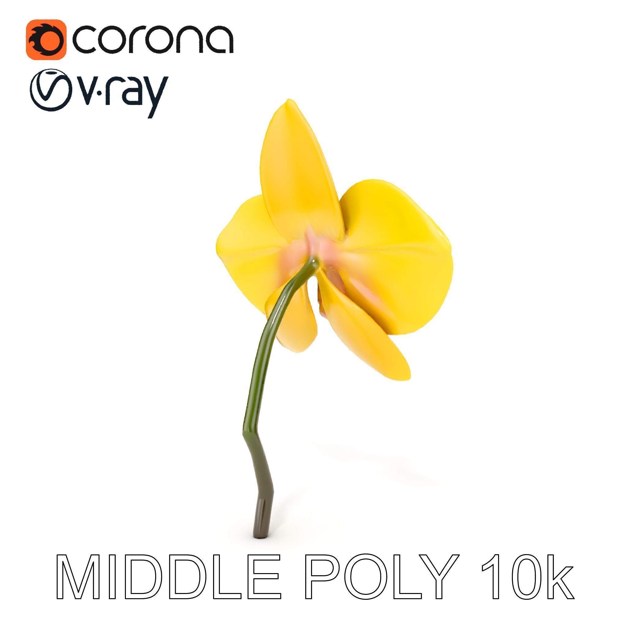 Orchid Flower Model Pack with PBR Textures Low-poly 3D model_25