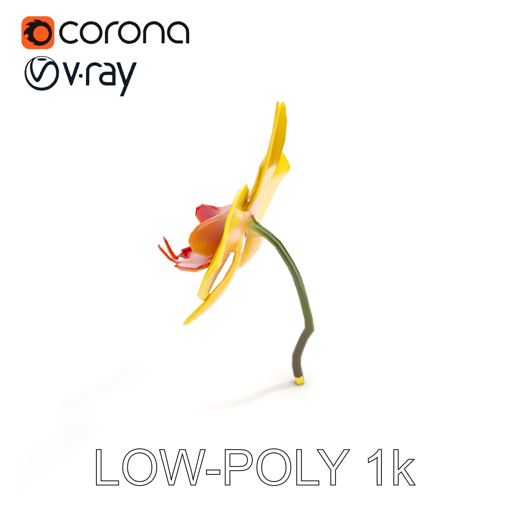 Orchid Flower Model Pack with PBR Textures Low-poly 3D model_21