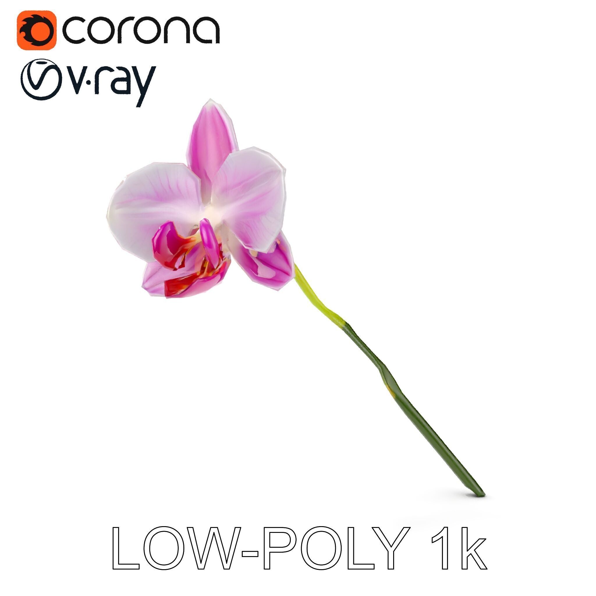 Orchid Flower D Model Pack Low-poly 3D model_20