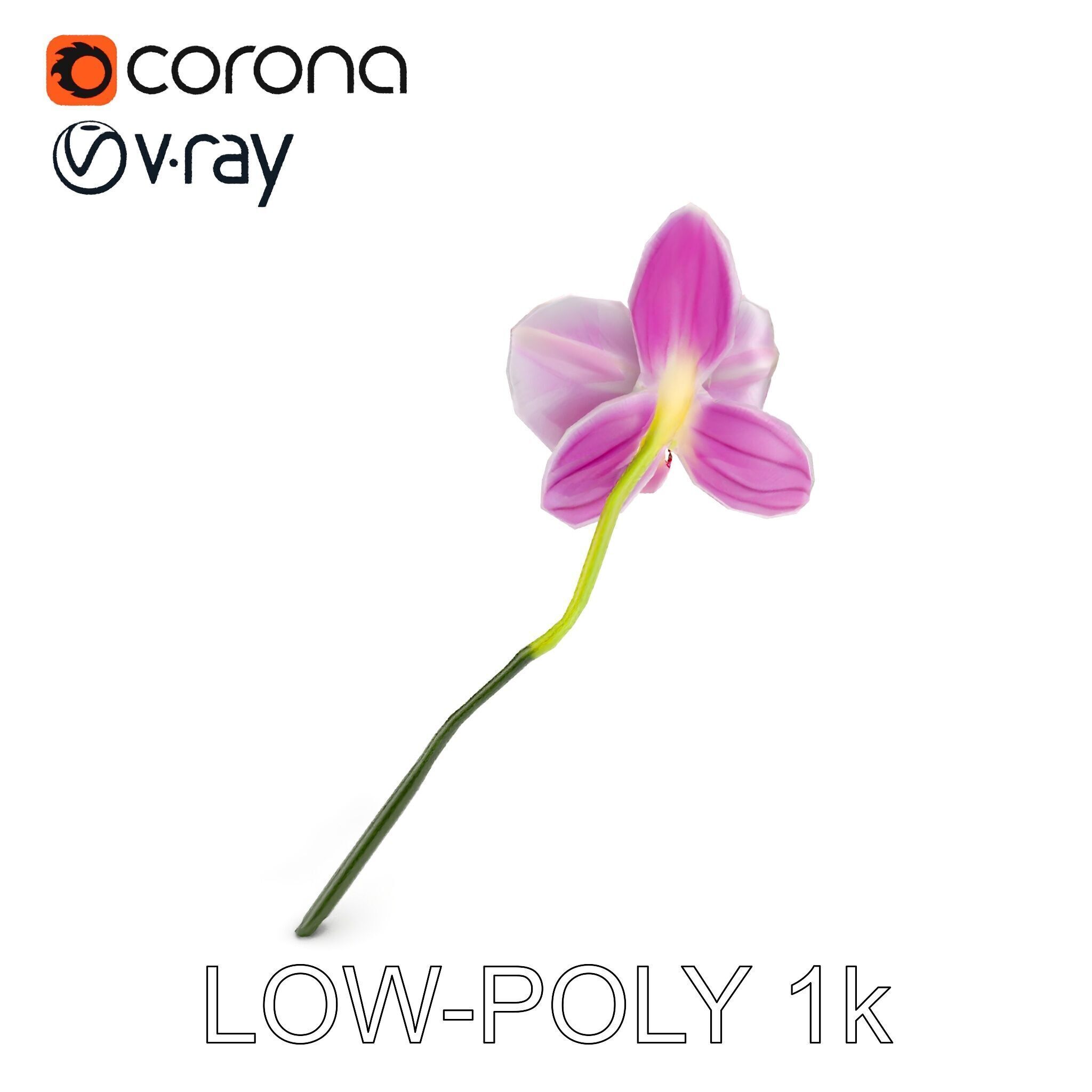 Orchid Flower D Model Pack Low-poly 3D model_18