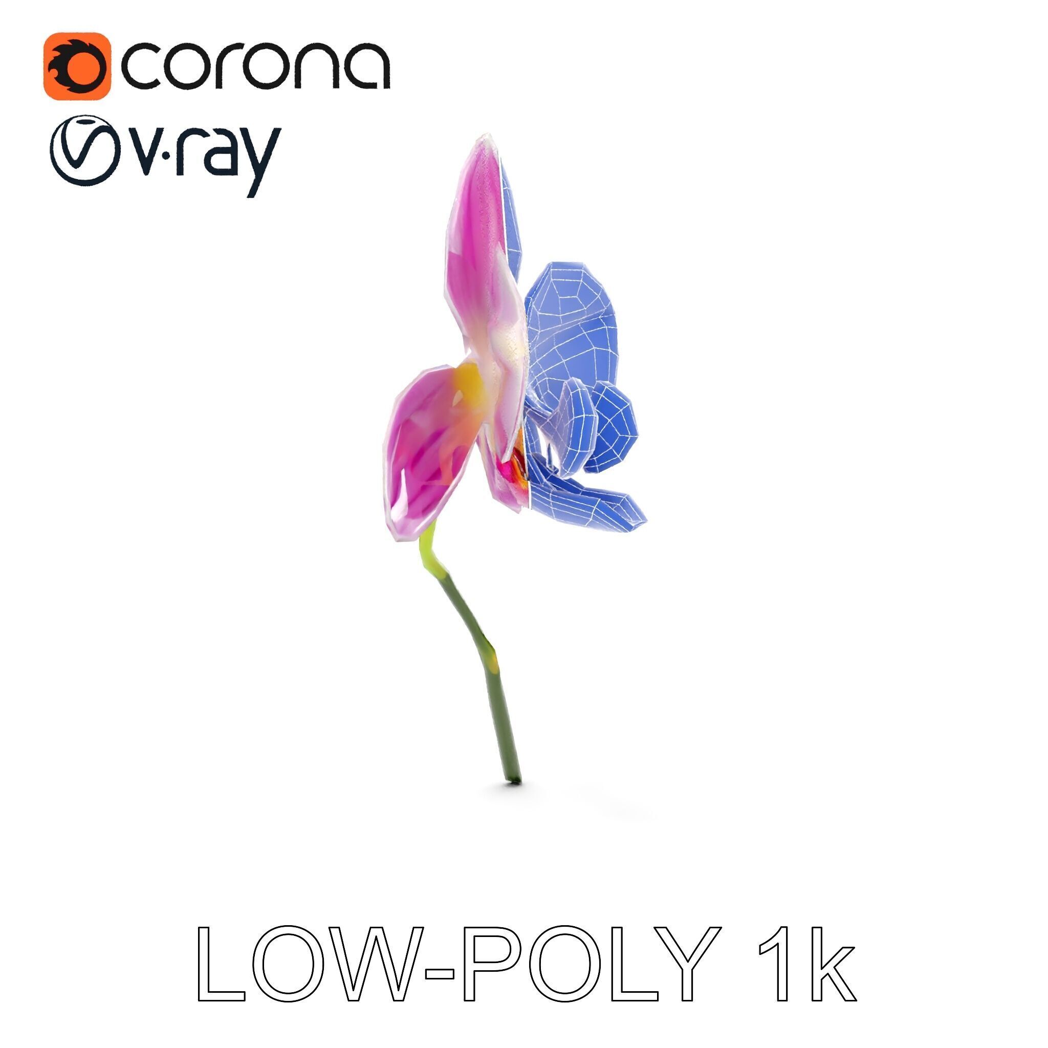 Orchid Flower D Model Pack Low-poly 3D model_32