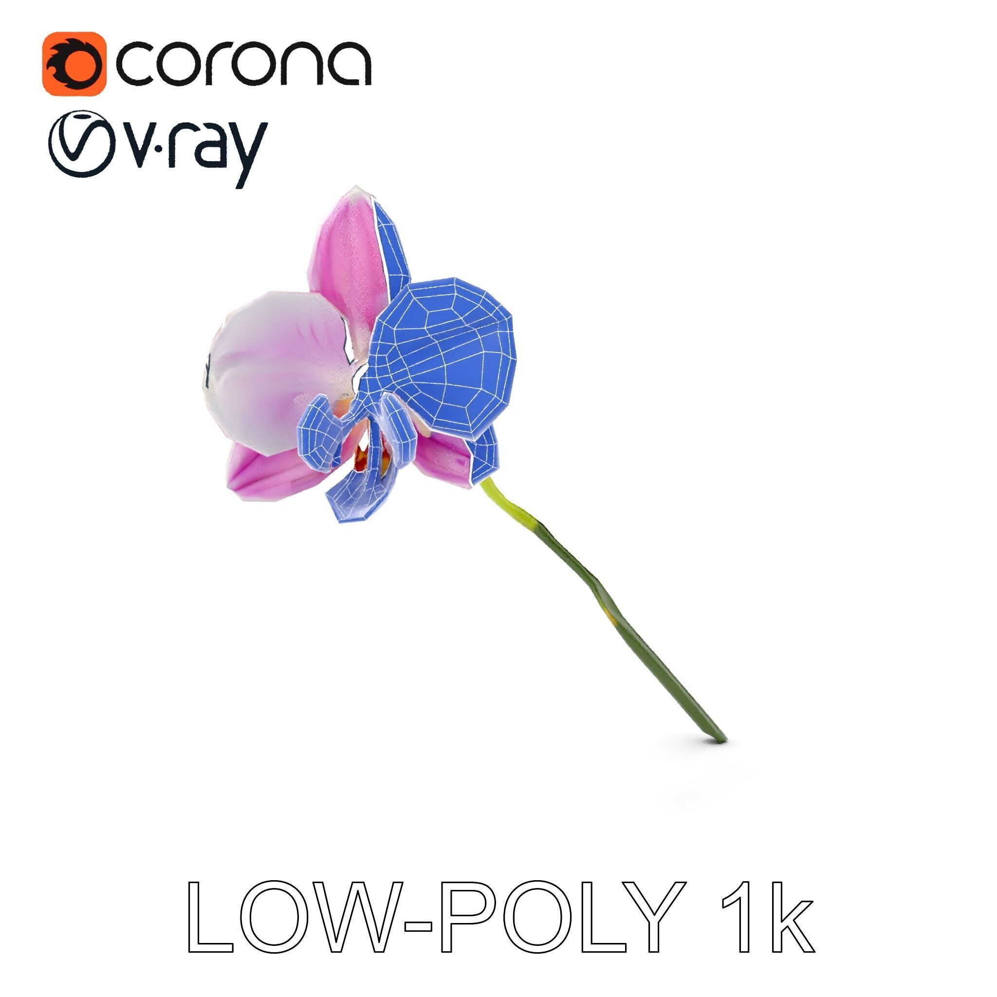 Orchid Flower D Model Pack Low-poly 3D model_29
