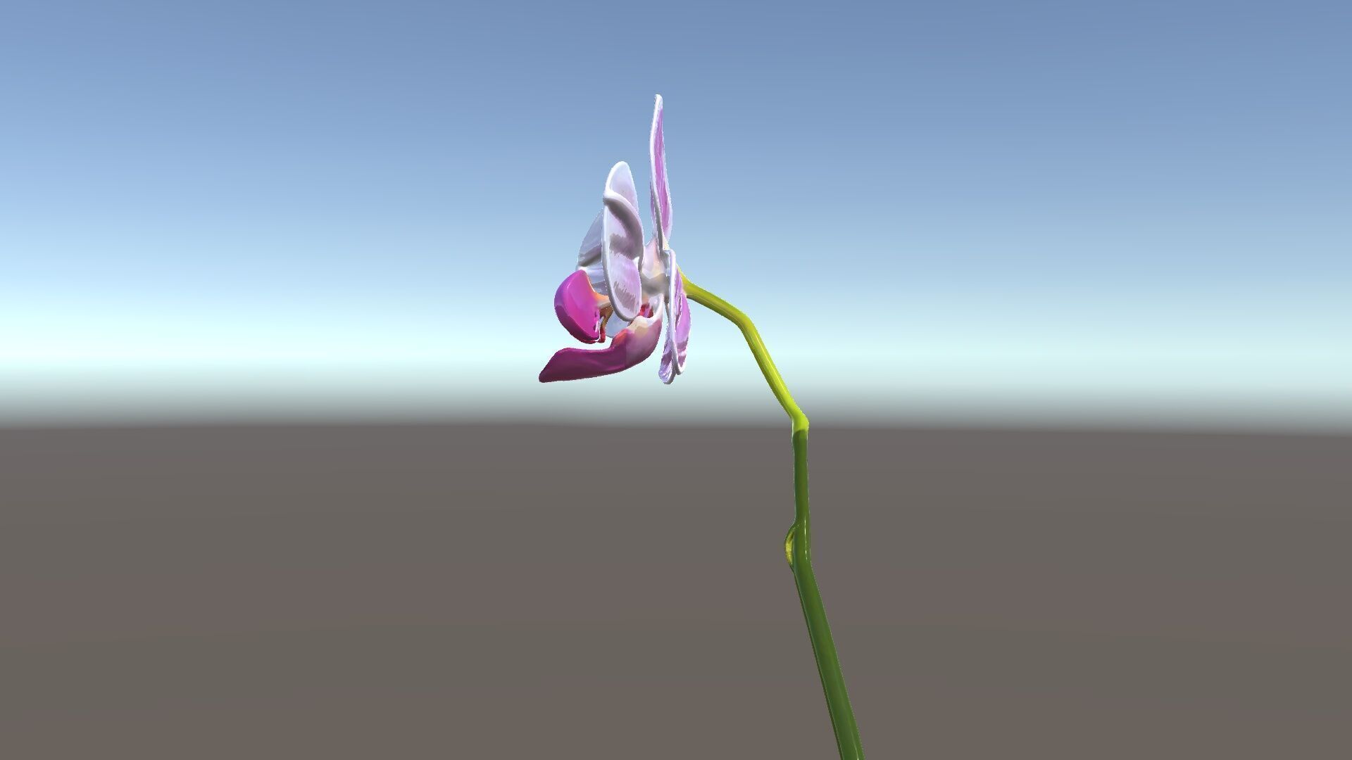 Orchid Flower D Model Pack Low-poly 3D model_6