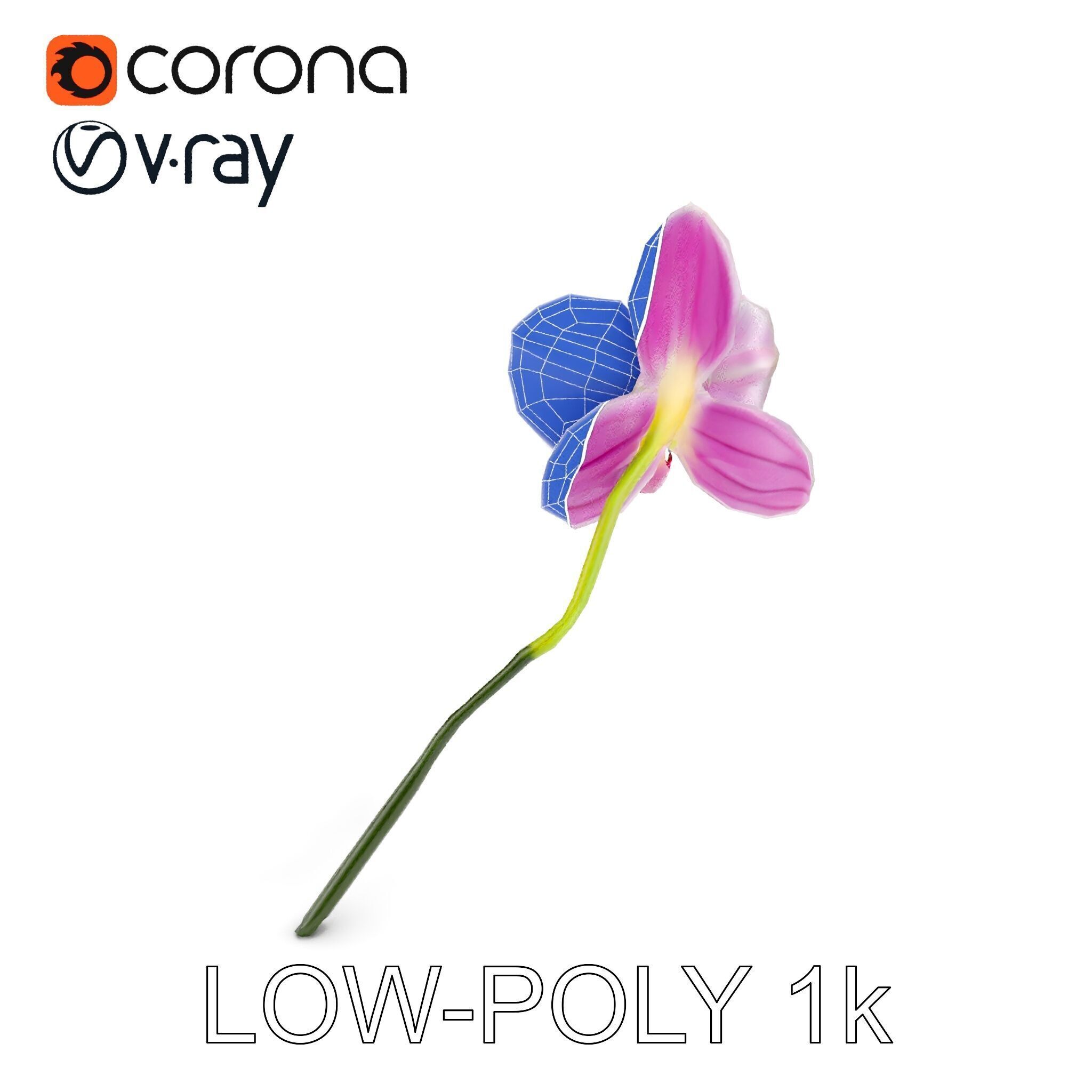 Orchid Flower D Model Pack Low-poly 3D model_12
