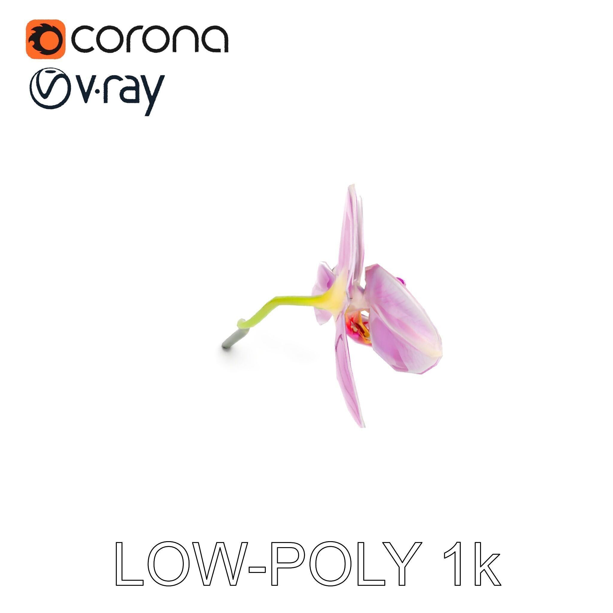 Orchid Flower D Model Pack Low-poly 3D model_15