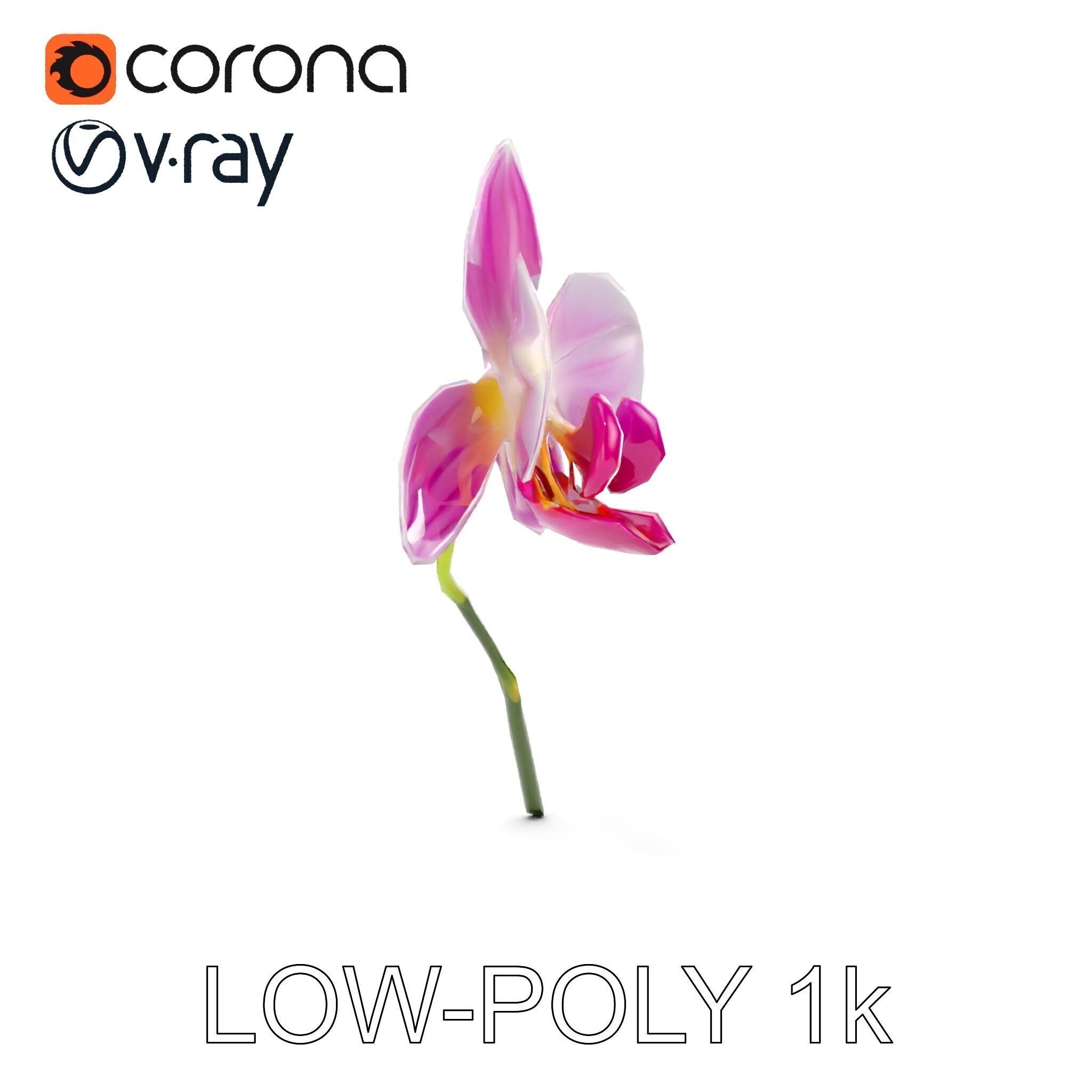 Orchid Flower D Model Pack Low-poly 3D model_8