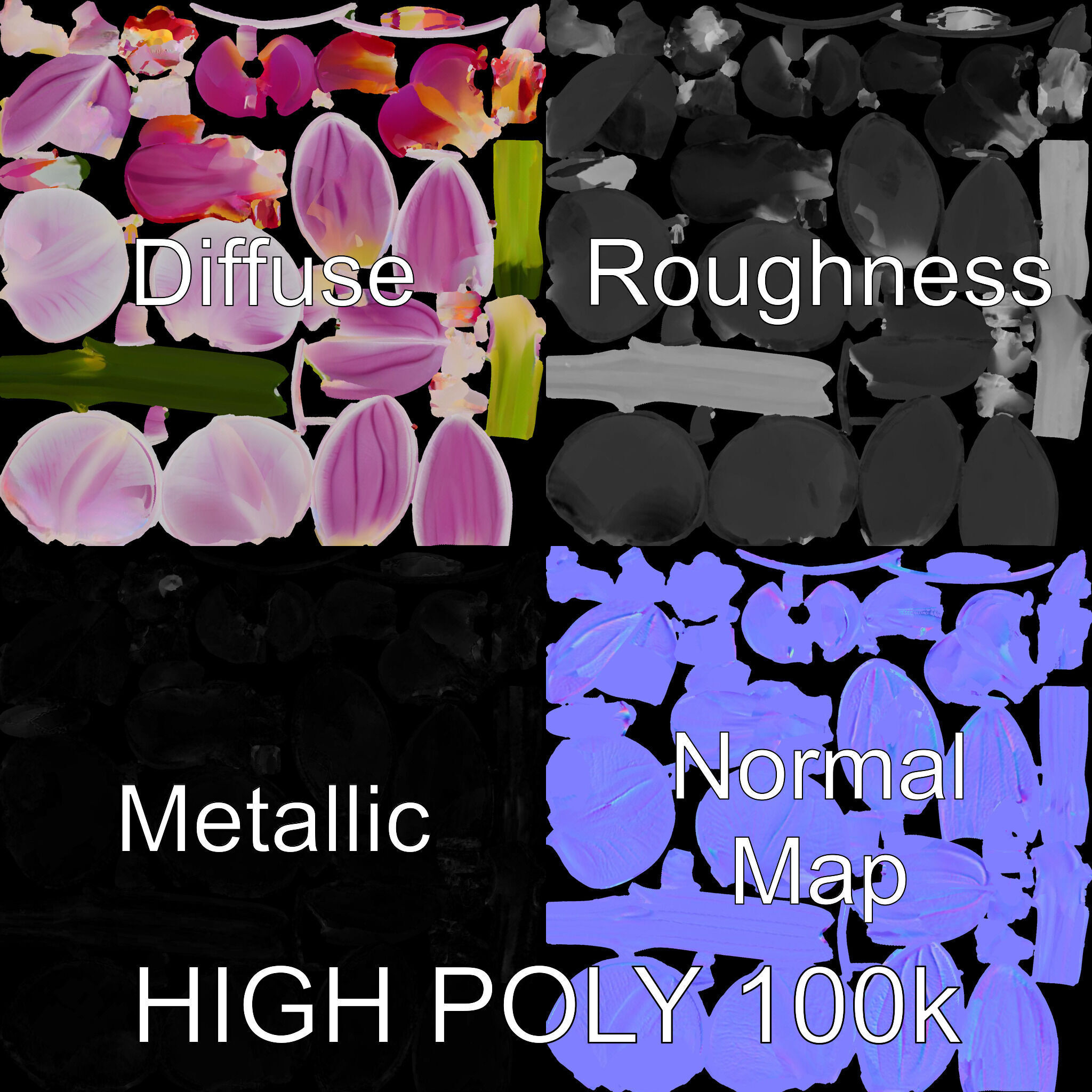 Orchid Flower D Model Pack Low-poly 3D model_4