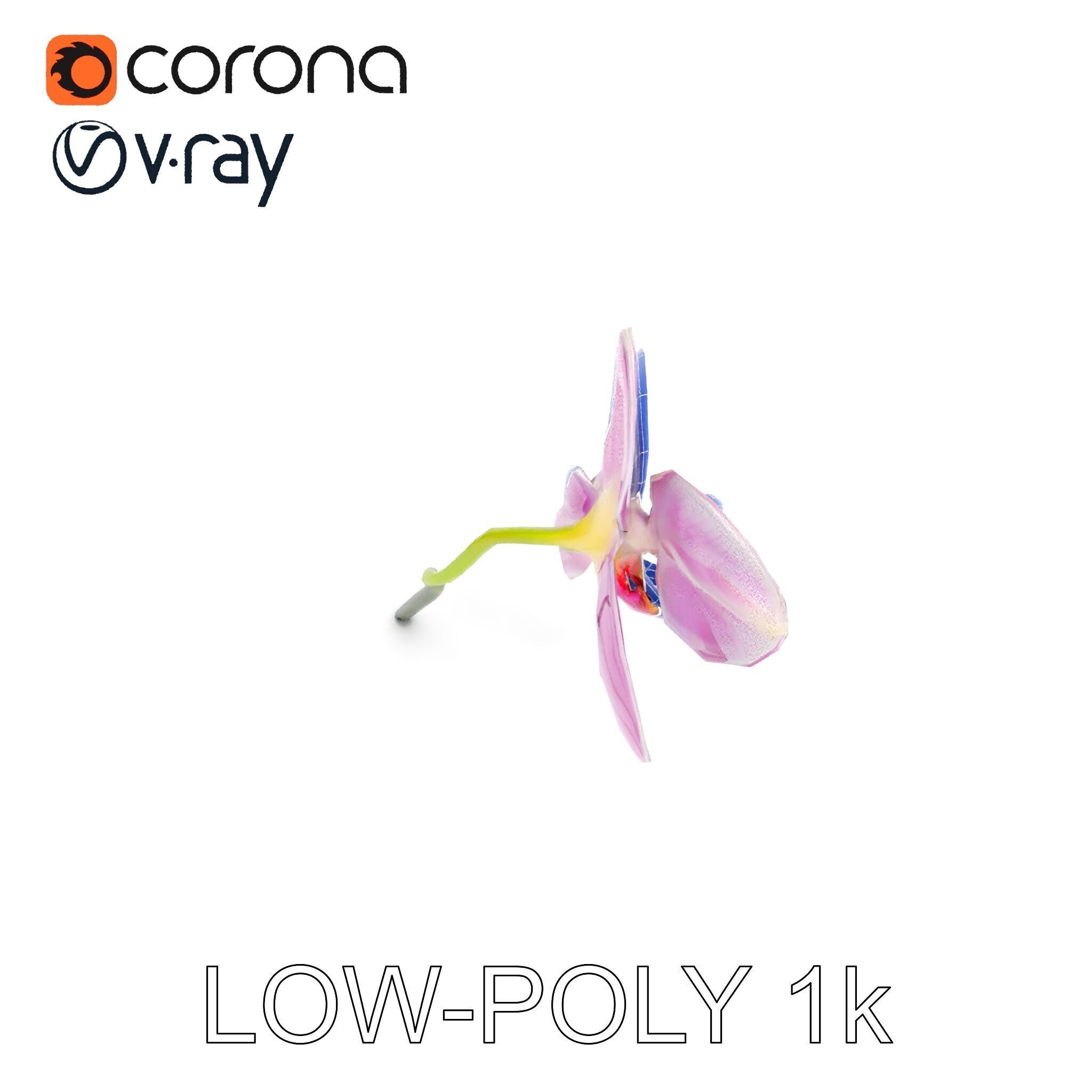 Orchid Flower D Model Pack Low-poly 3D model_26