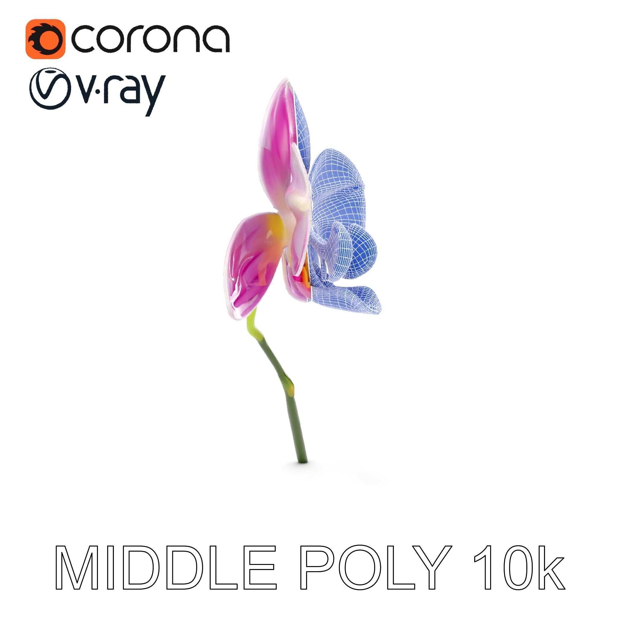 Orchid Flower D Model Pack Low-poly 3D model_25