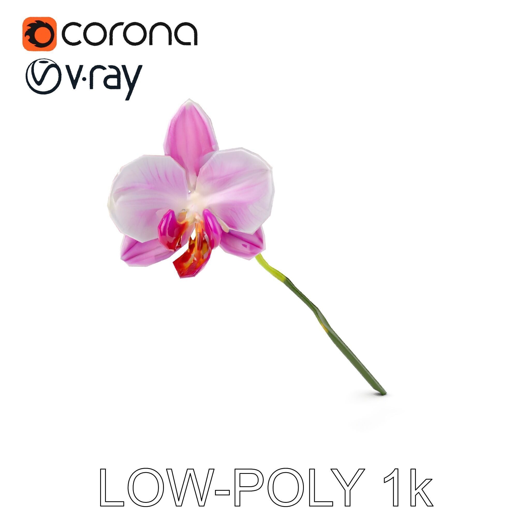 Orchid Flower D Model Pack Low-poly 3D model_10