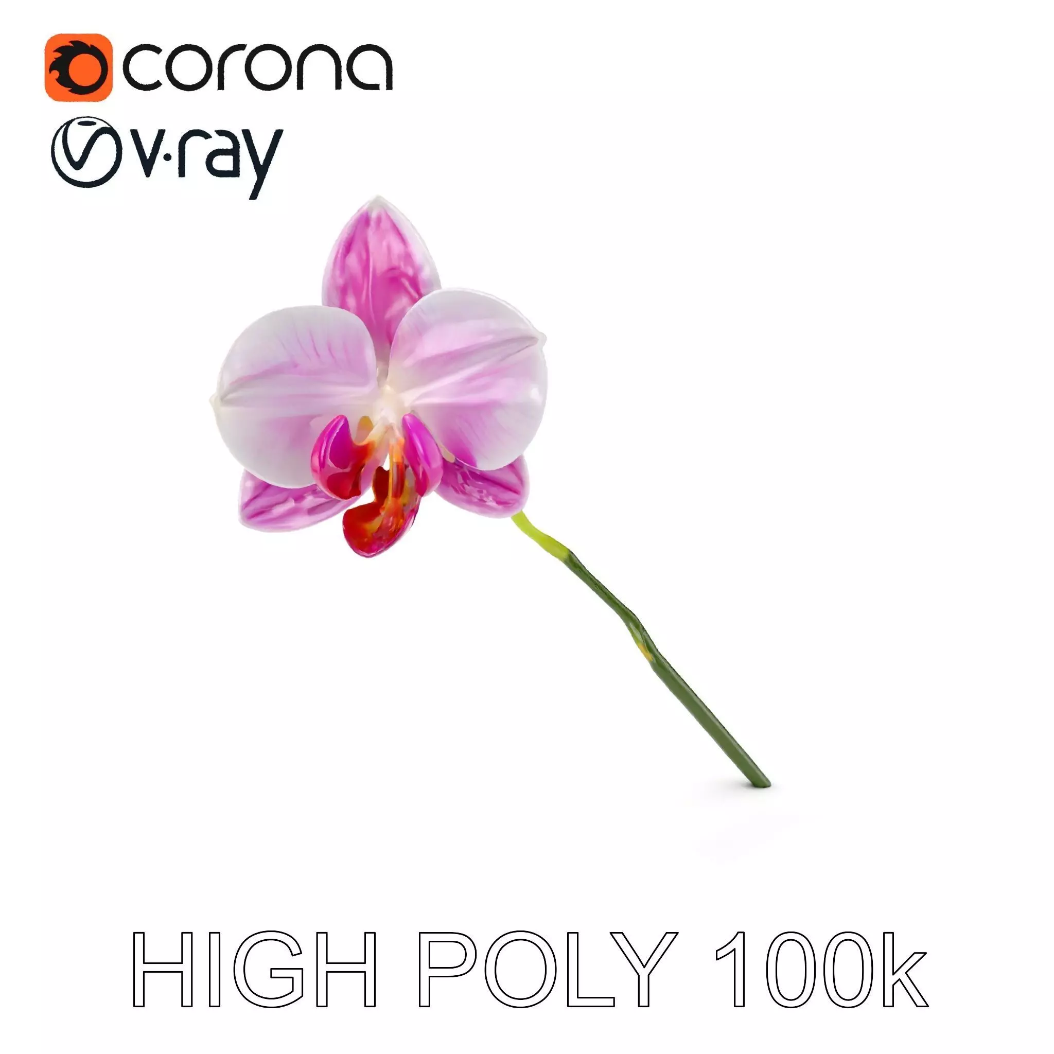 Orchid Flower D Model Pack Low-poly 3D model_0