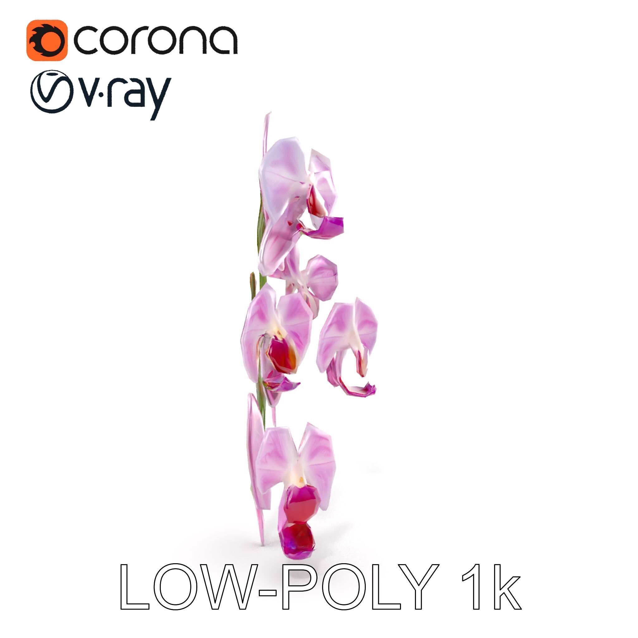Orchid Flower Model Pack with HighResolution Details Low-poly 3D model_26