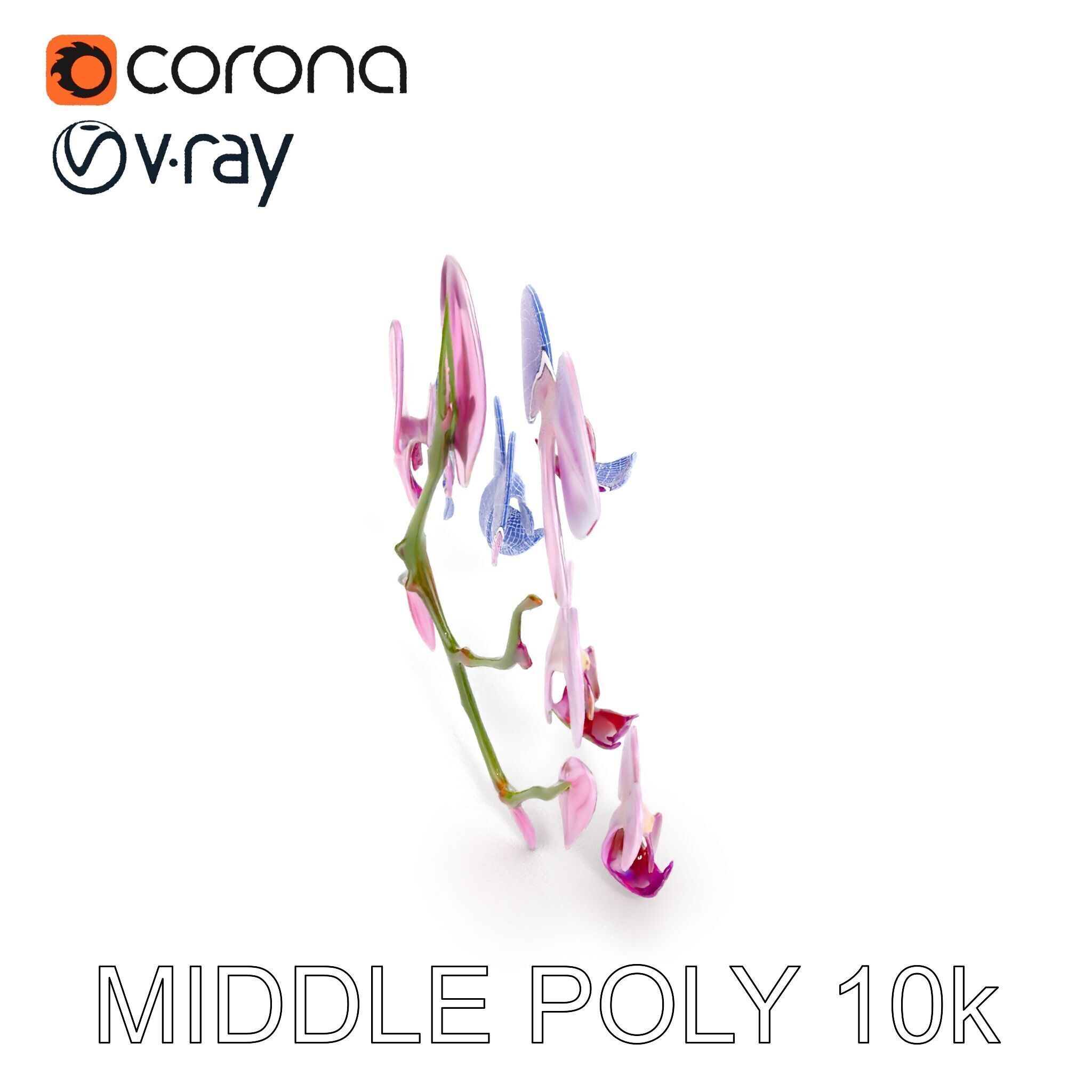 Orchid Flower Model Pack with HighResolution Details Low-poly 3D model_22