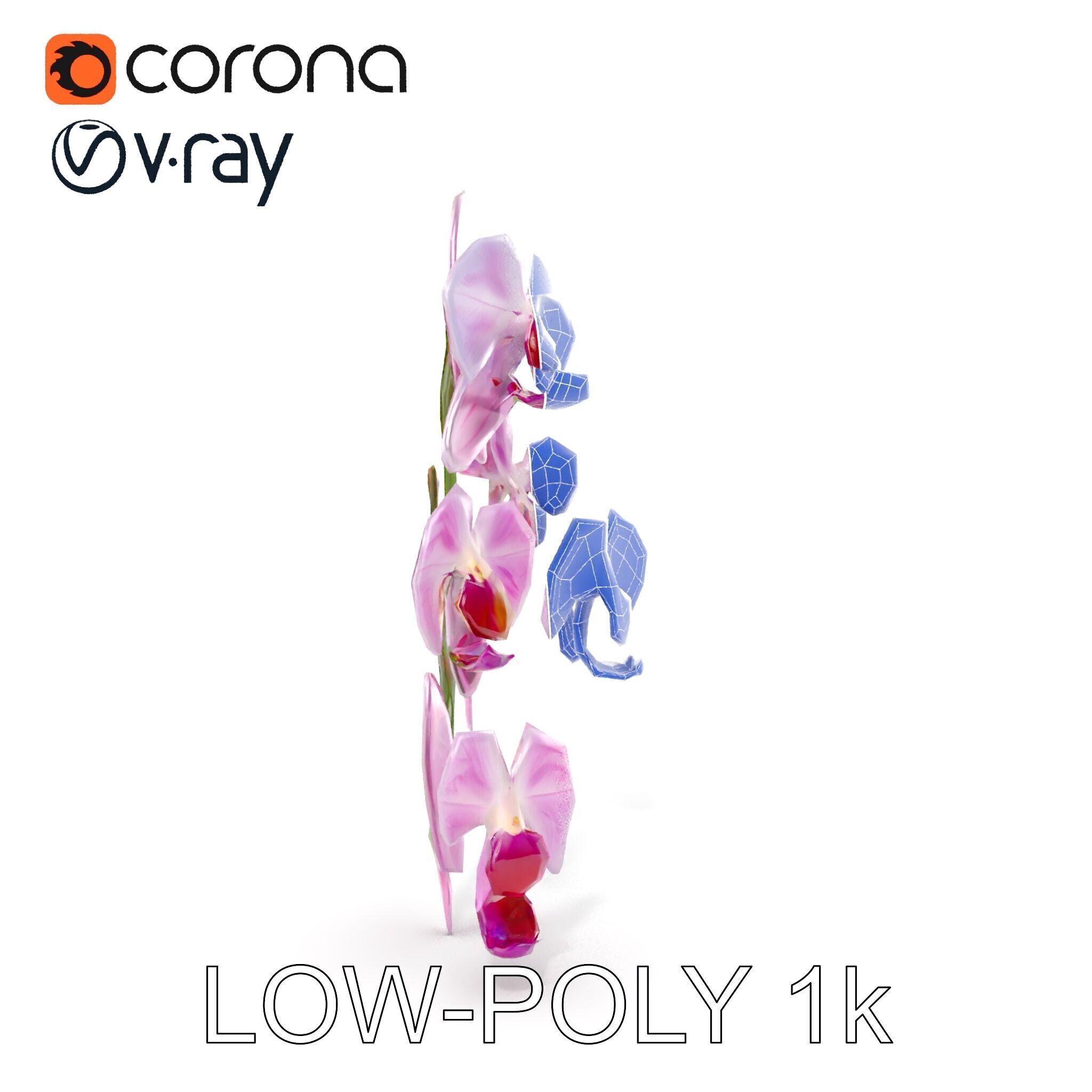 Orchid Flower Model Pack with HighResolution Details Low-poly 3D model_32