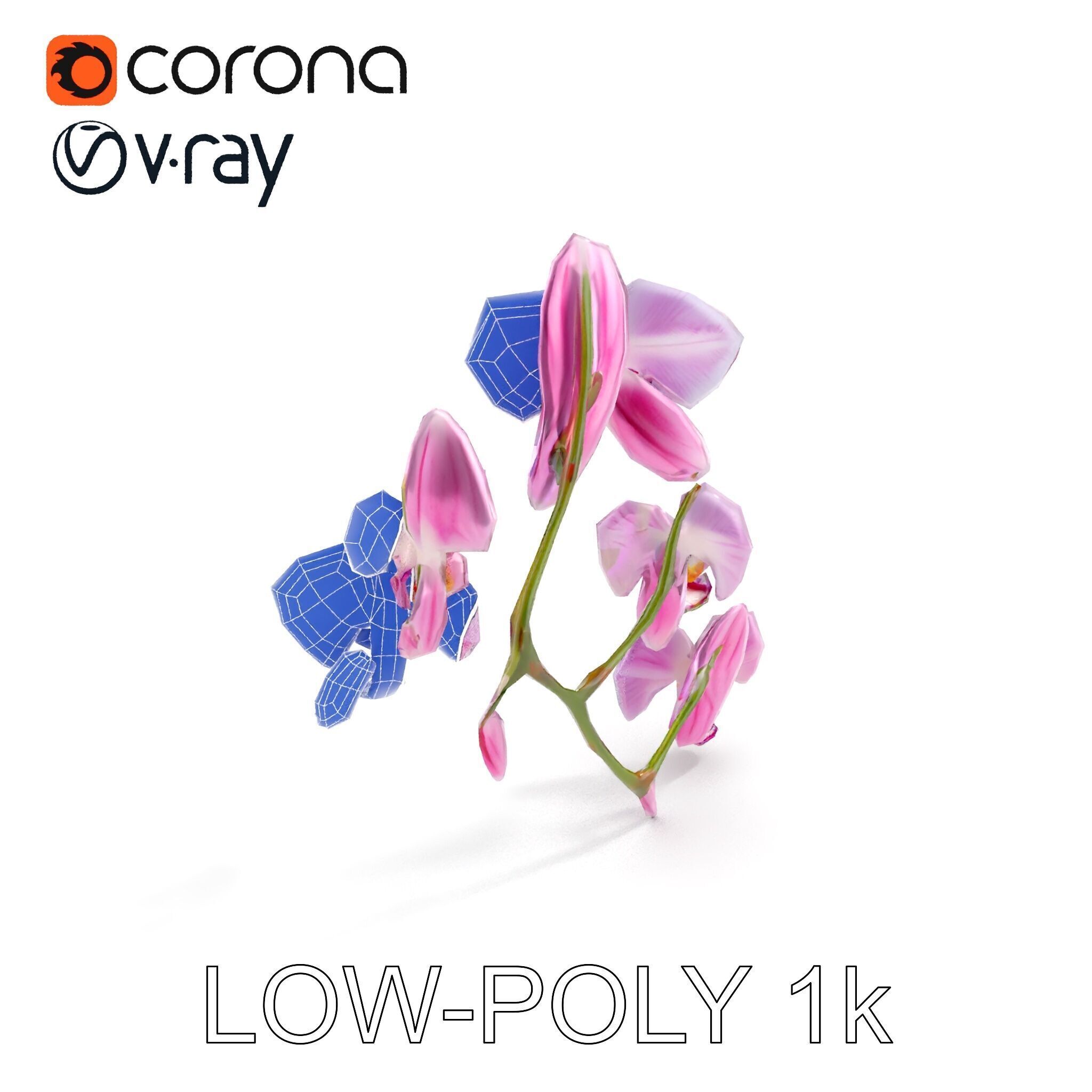 Orchid Flower Model Pack with HighResolution Details Low-poly 3D model_21