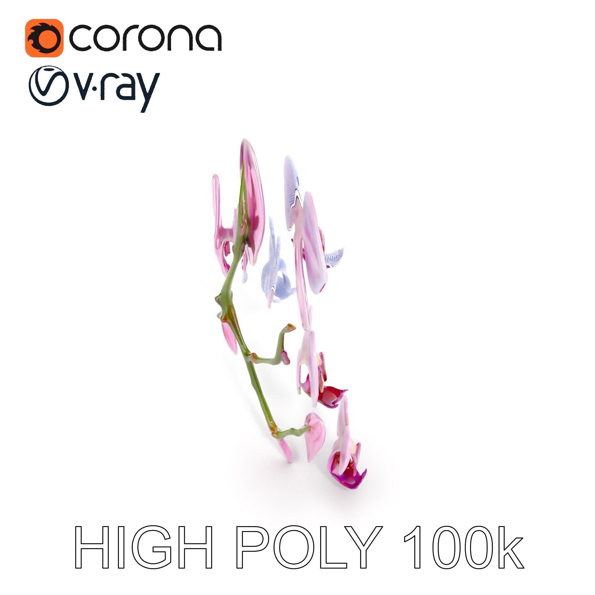 Orchid Flower Model Pack with HighResolution Details Low-poly 3D model_16