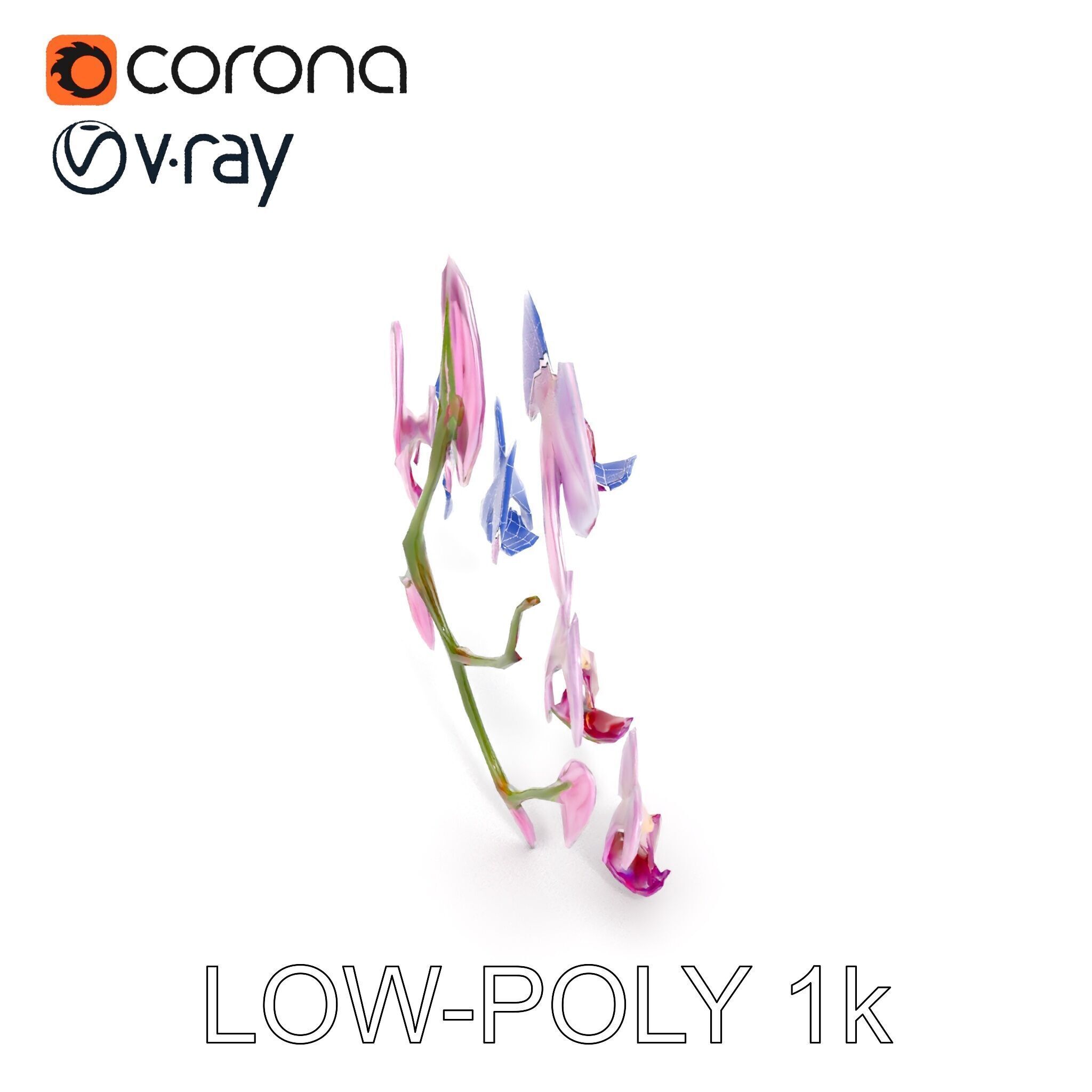 Orchid Flower Model Pack with HighResolution Details Low-poly 3D model_23
