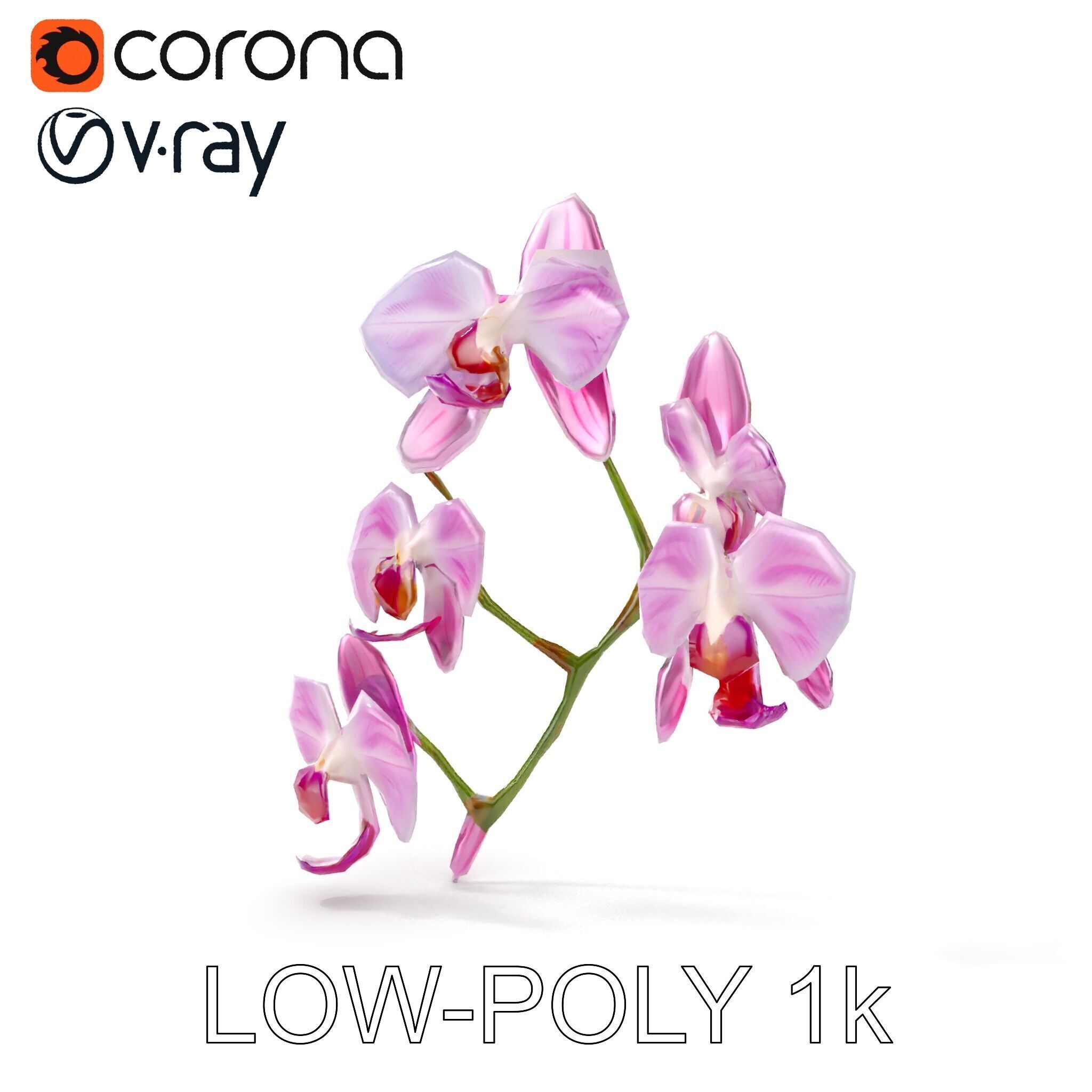Orchid Flower Model Pack with HighResolution Details Low-poly 3D model_8
