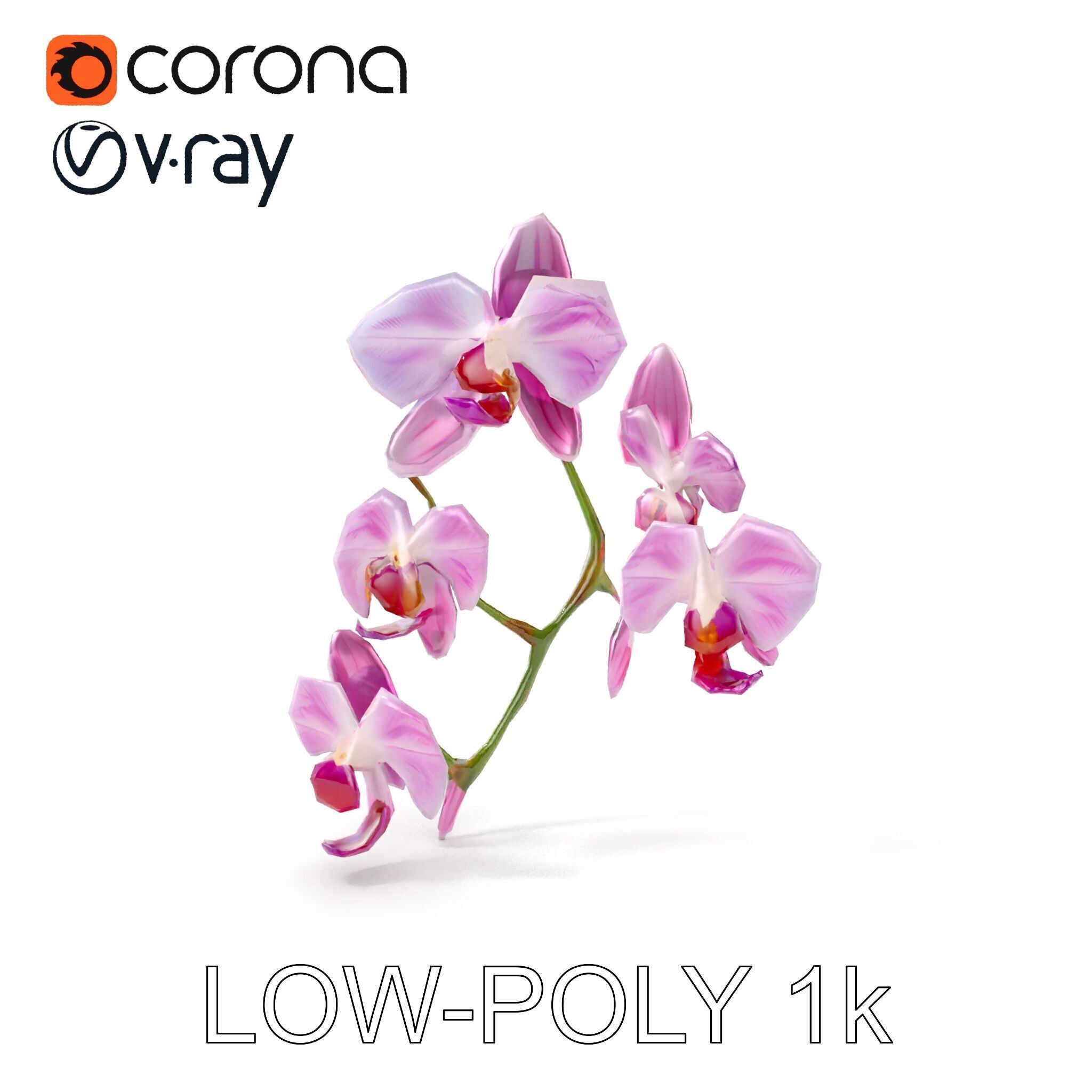 Orchid Flower Model Pack with HighResolution Details Low-poly 3D model_15